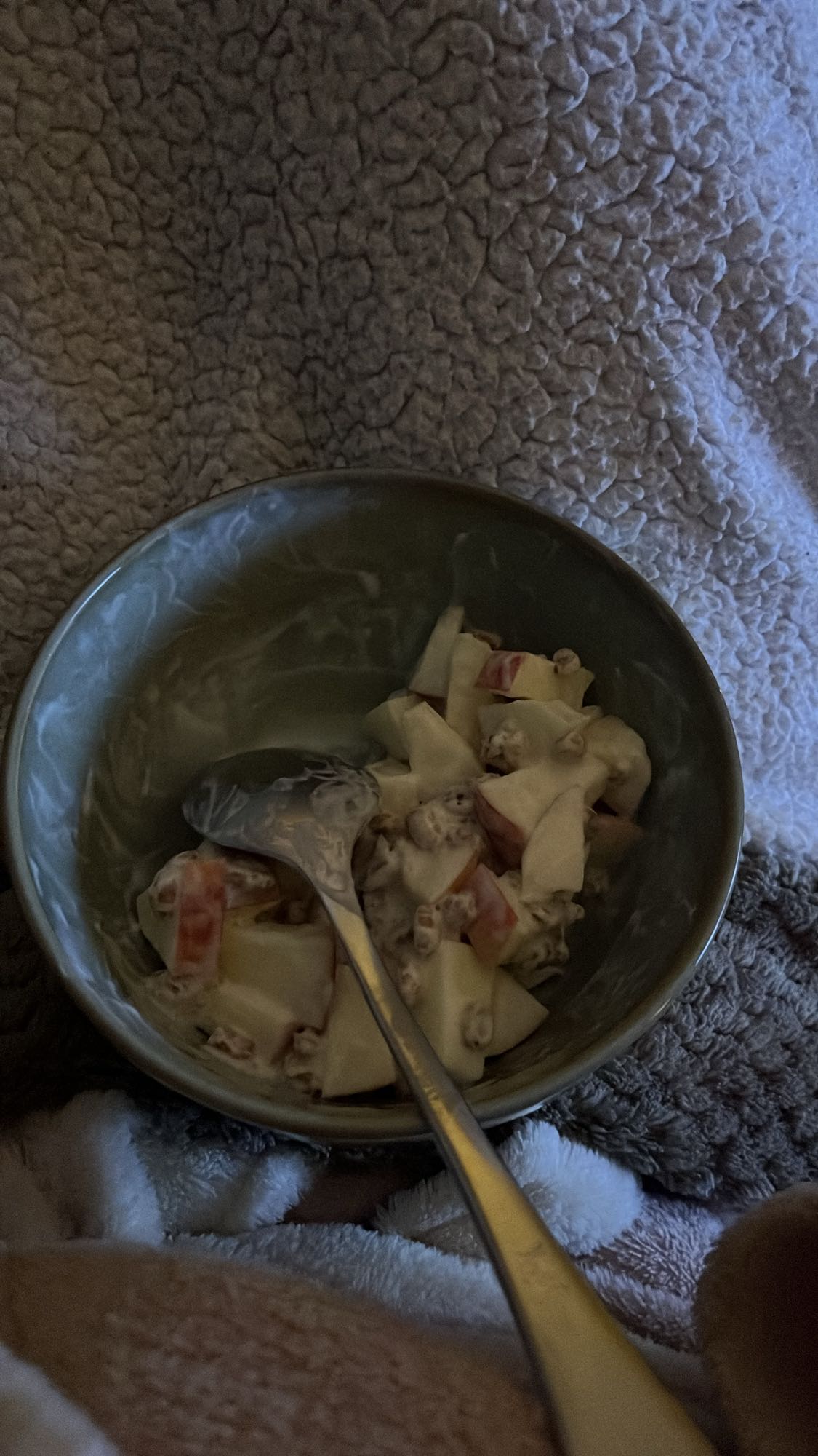appel yoghurt muesli