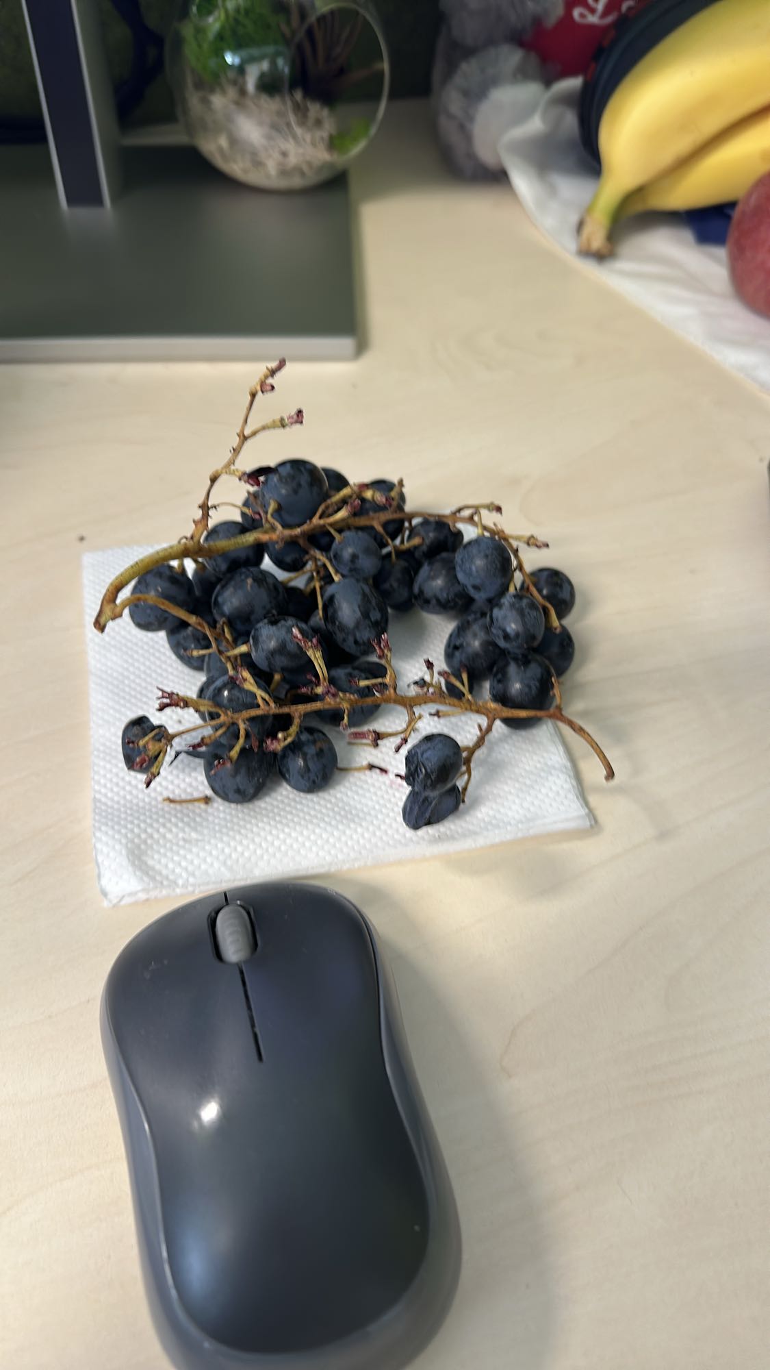 Struguri negri proaspeți