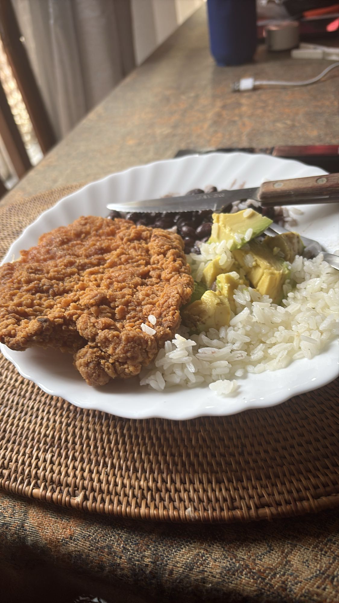 Pollo frito con arroz