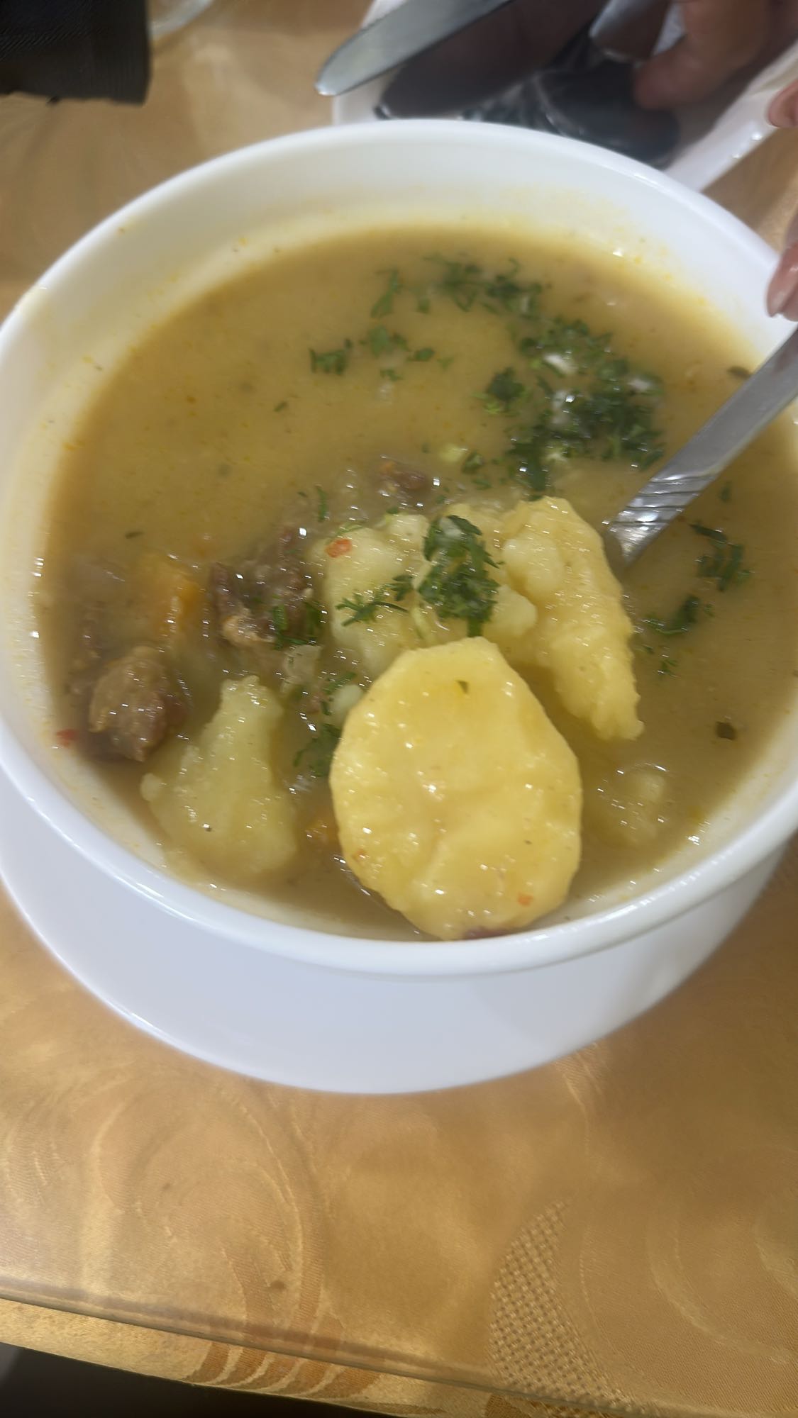 sopa de carne y papa
