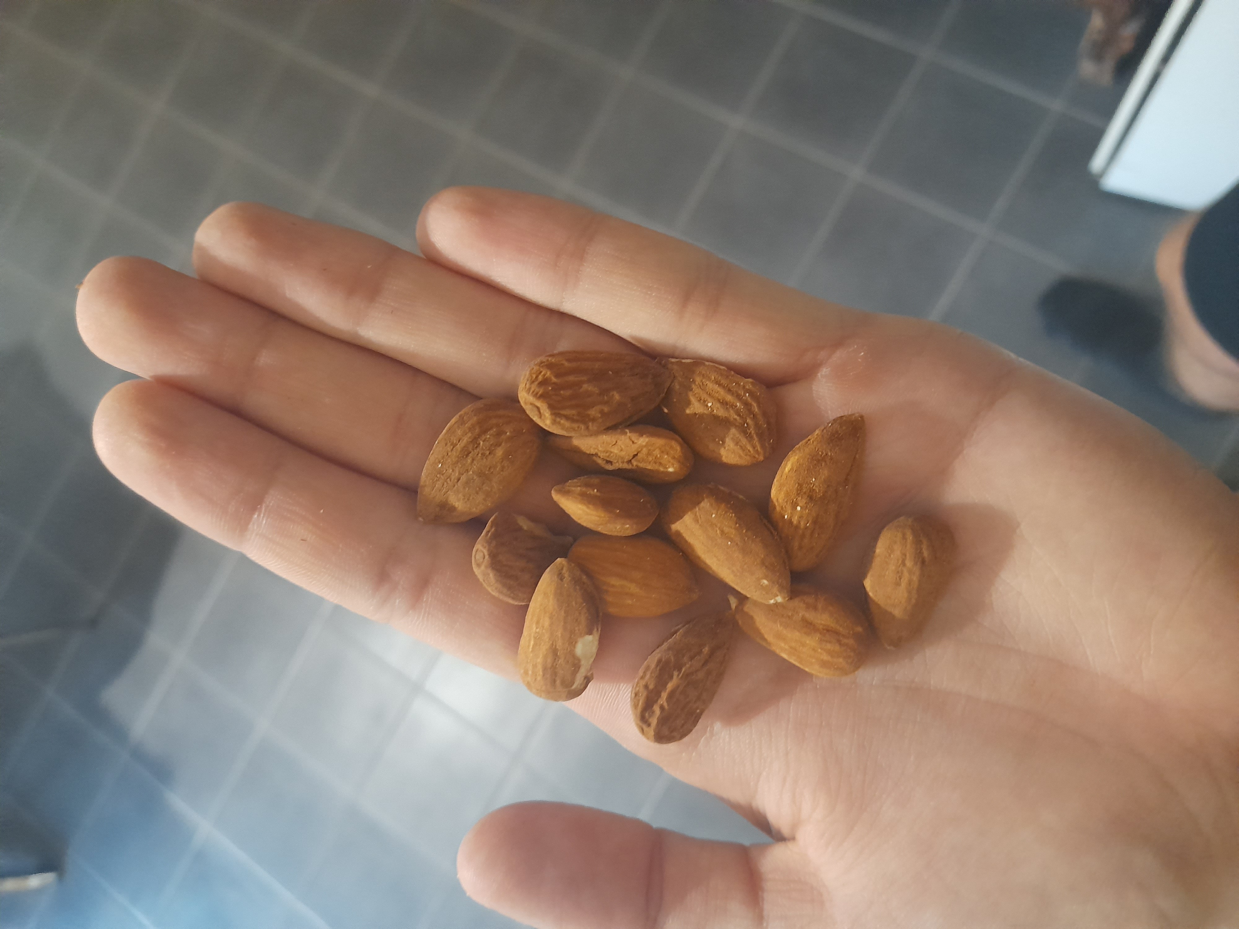 Amandes nature