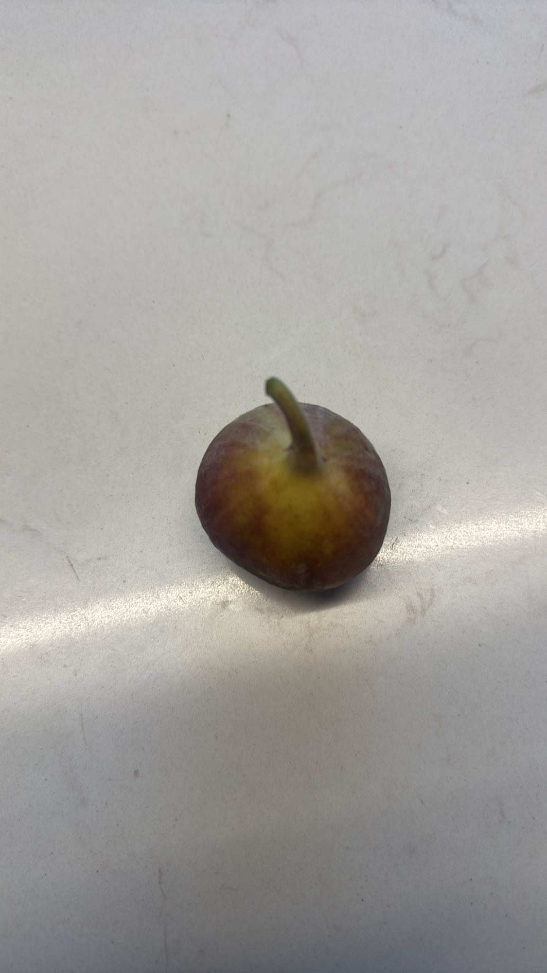 Fresh fig snack