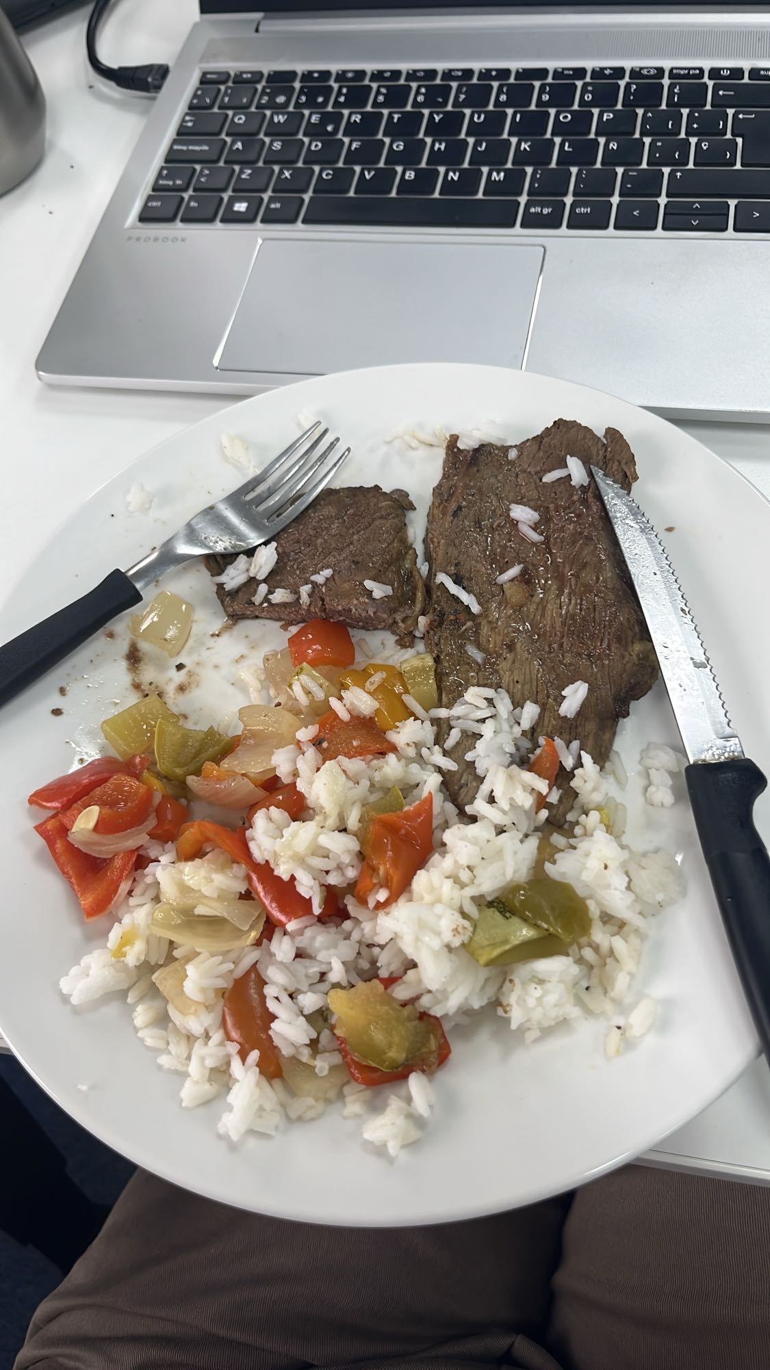 Carne con arroz y verduras