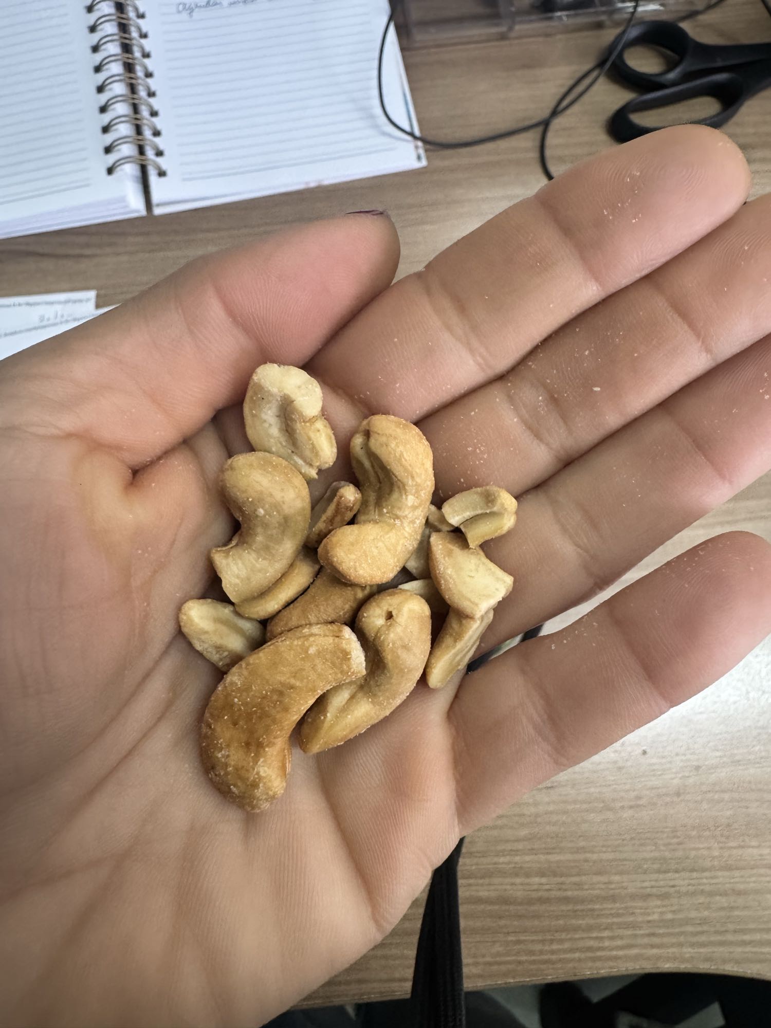 Castanhas de caju na mão