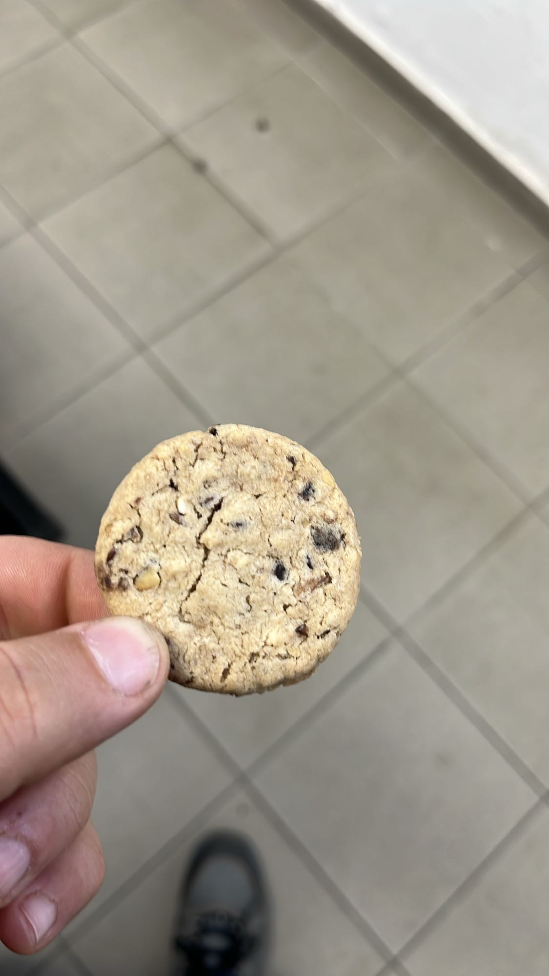 шоколадова бисквита