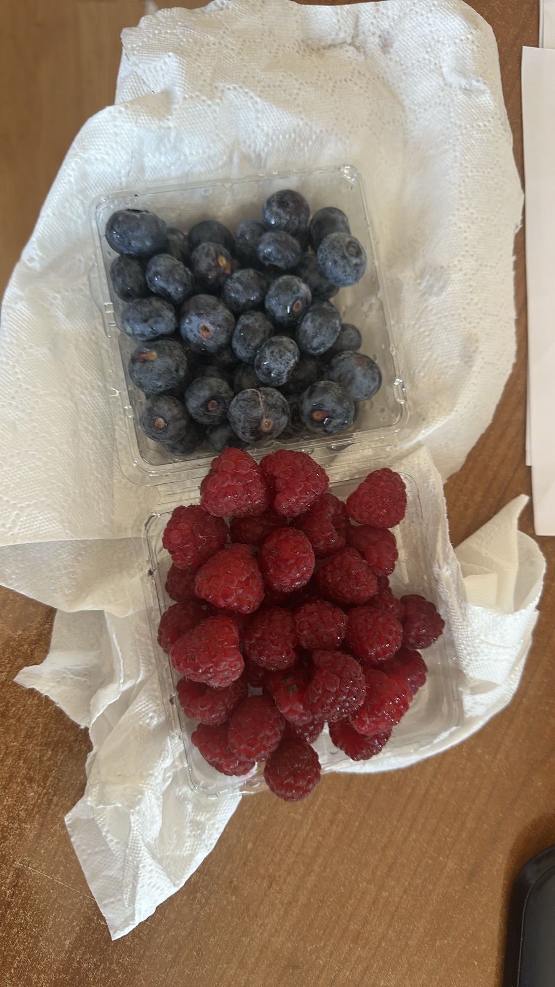 Blueberries and Raspberries