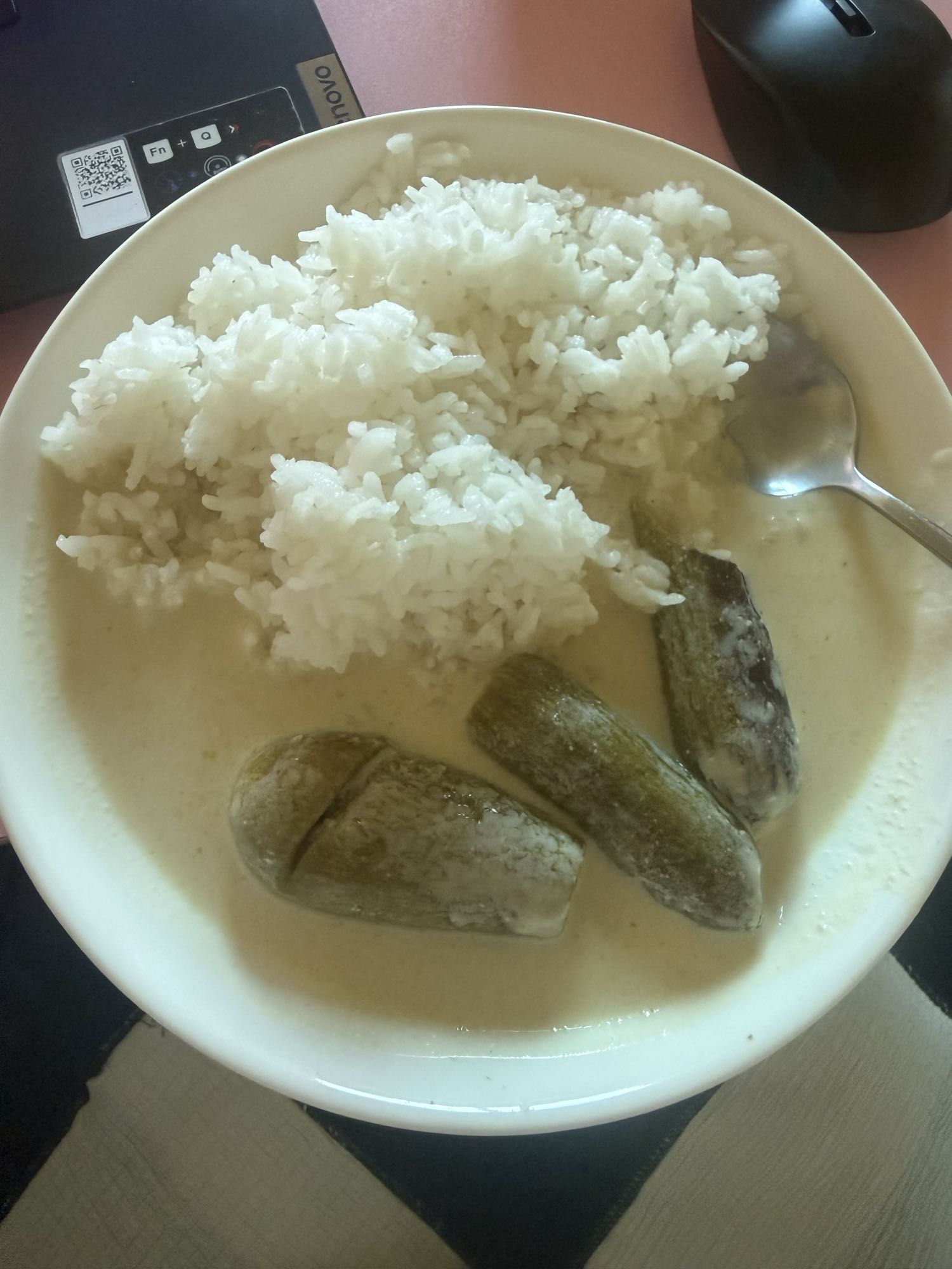Rice with eggplant curry