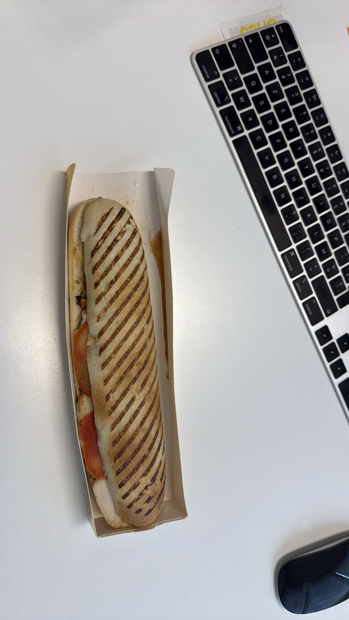 Grilled Chicken Panini