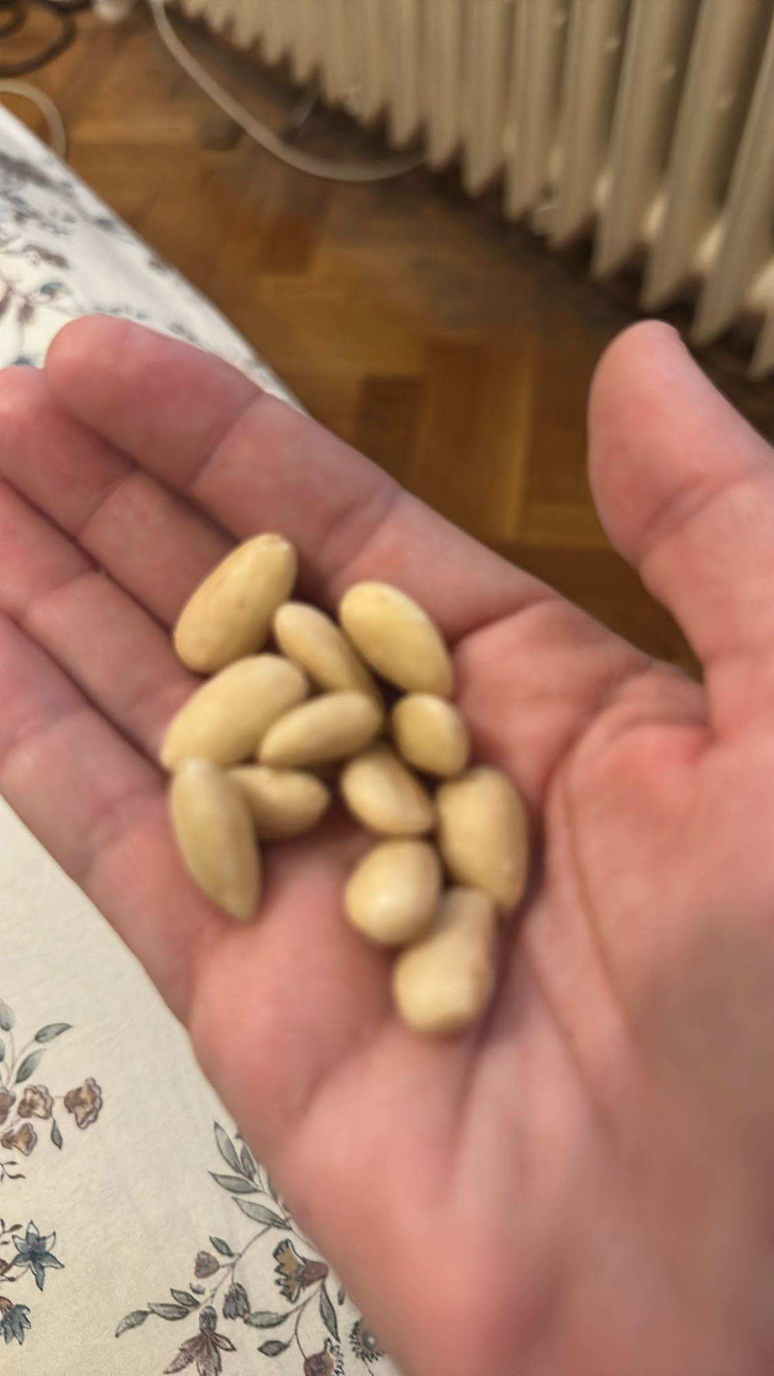 Handful of almonds