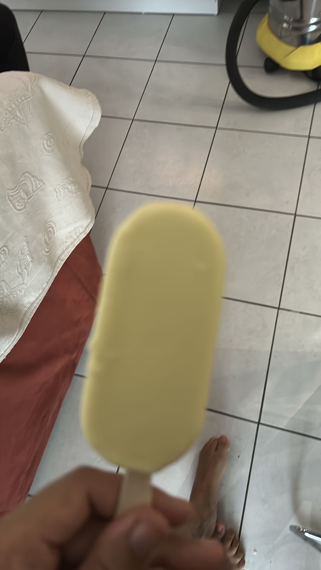 glace vanille enrobée