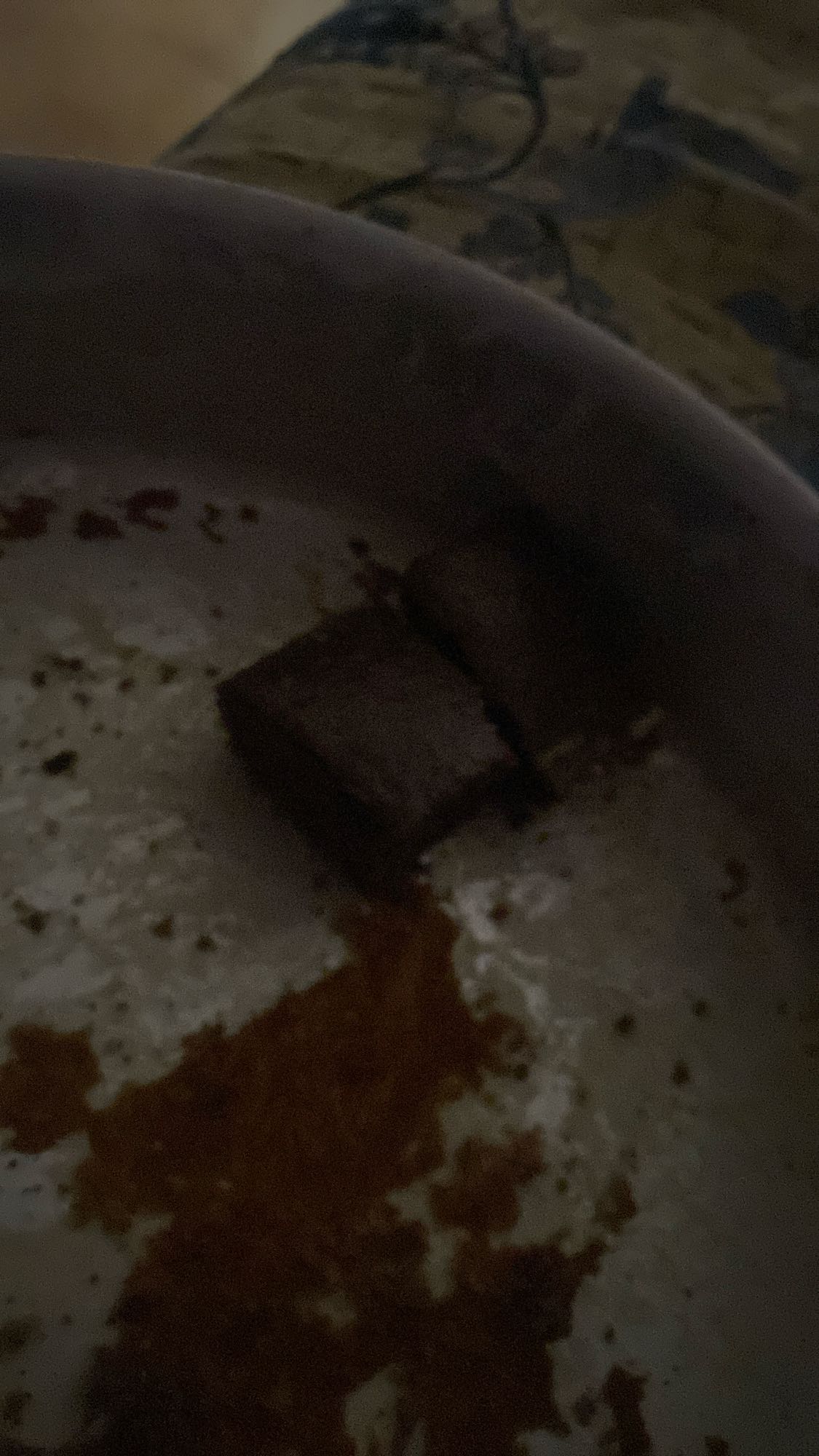 Chocolate brownie bites