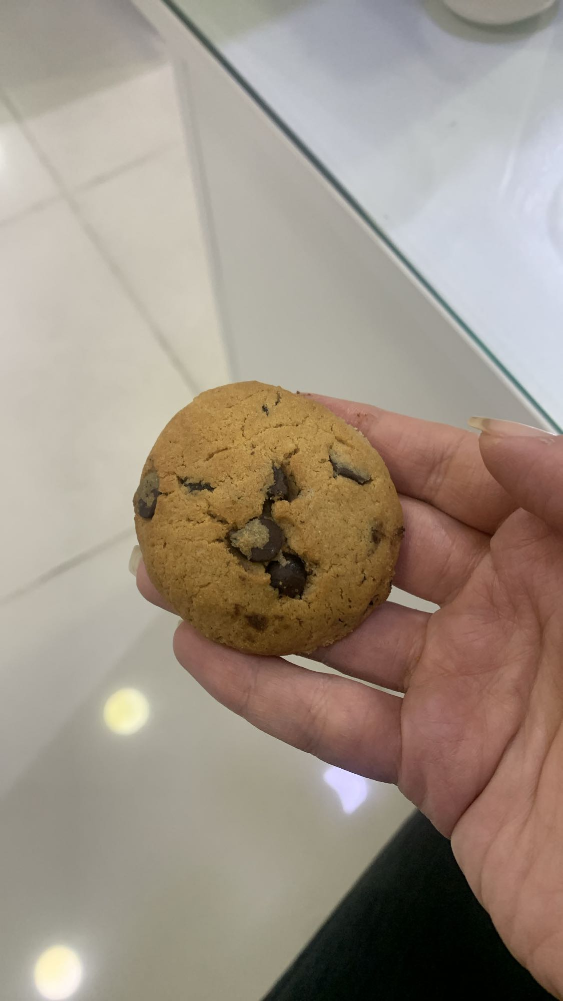 Chocolate Chip Cookie