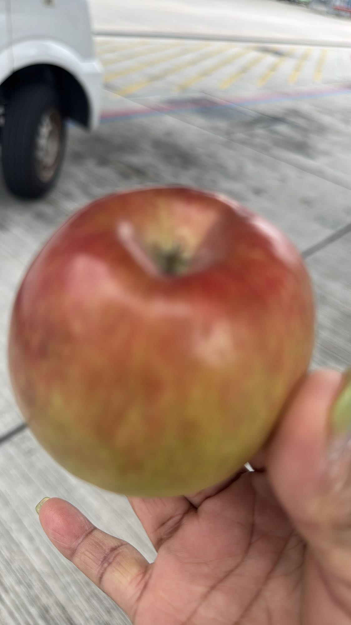 Fresh Apple