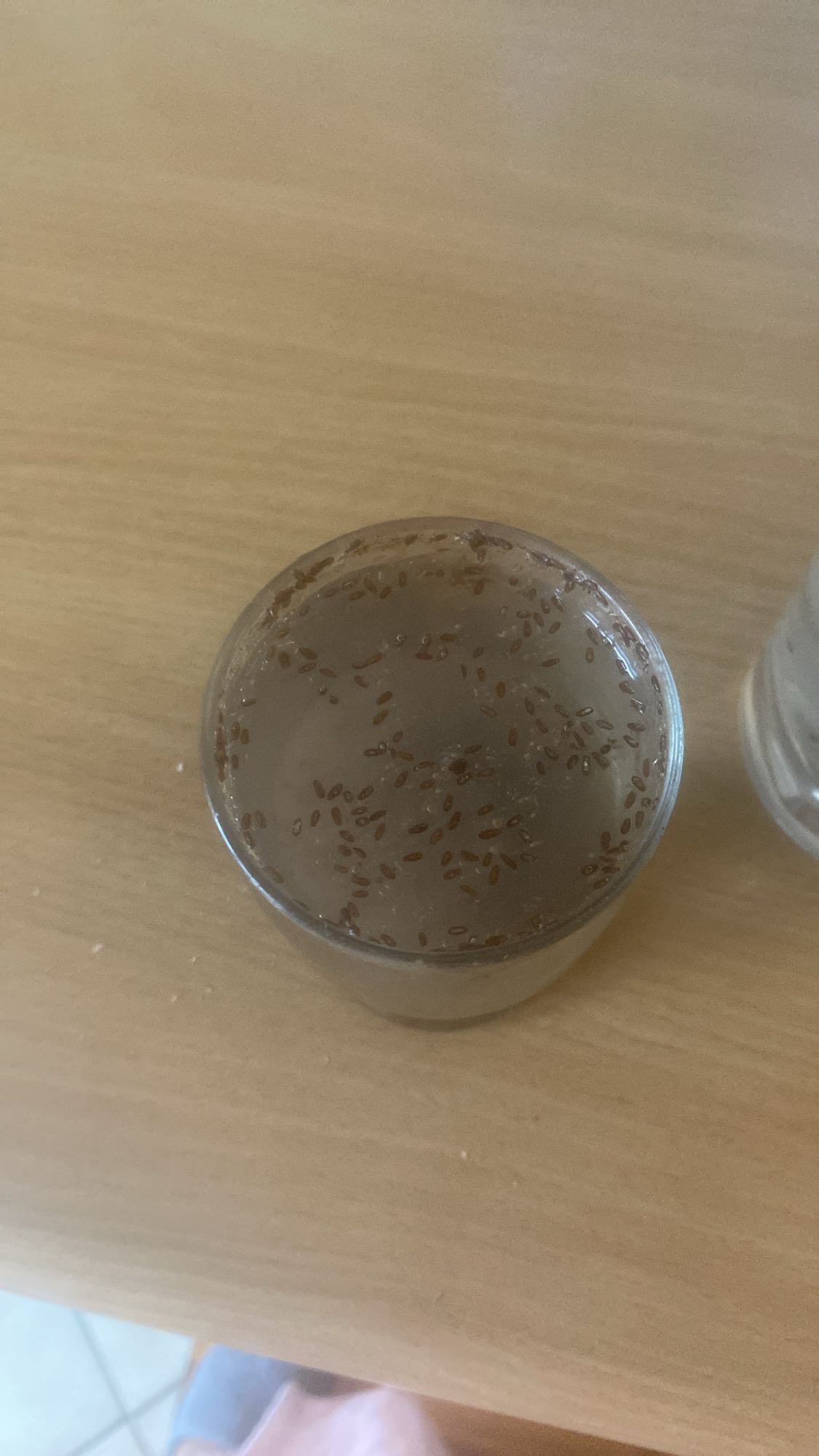 napój z siemieniem lnianym