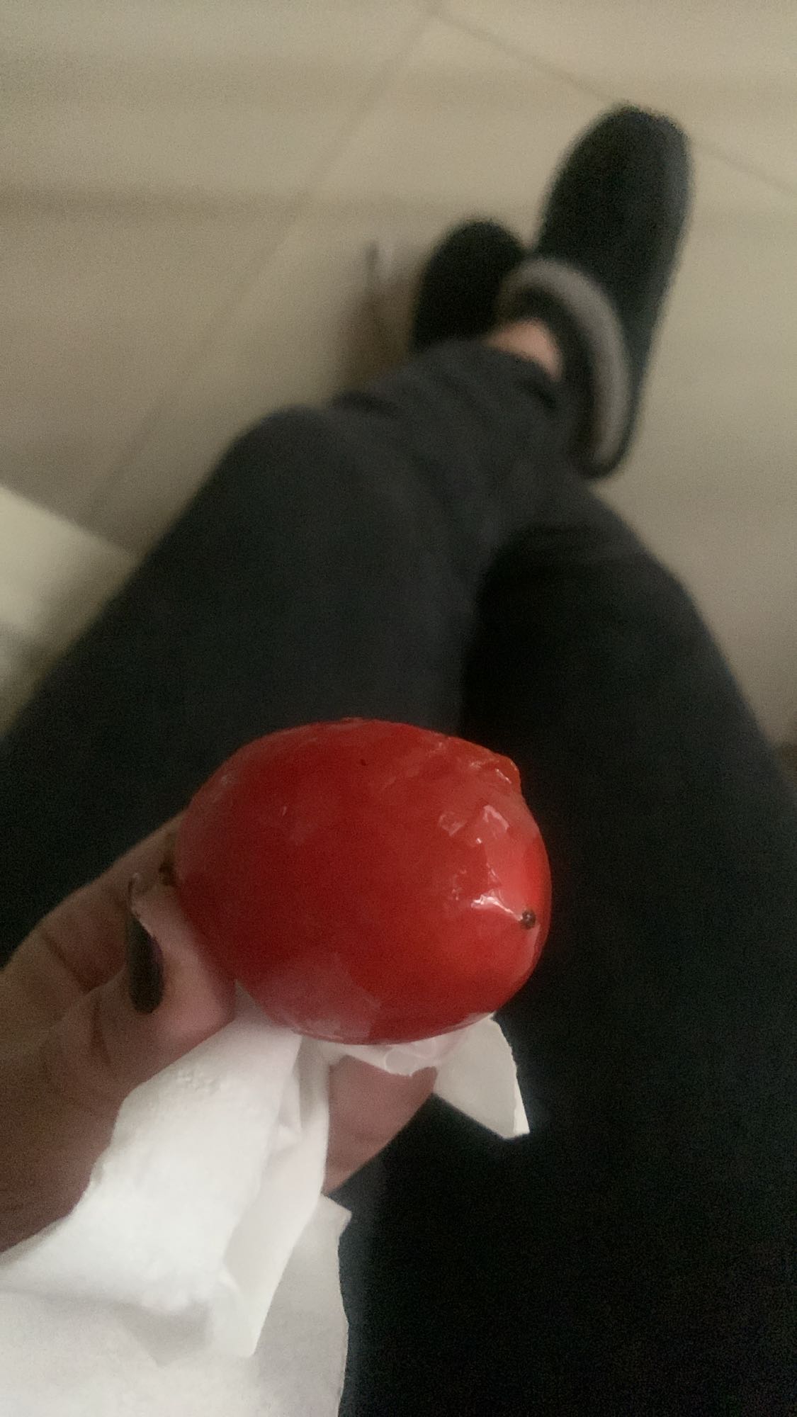 Fresh Tomato Snack