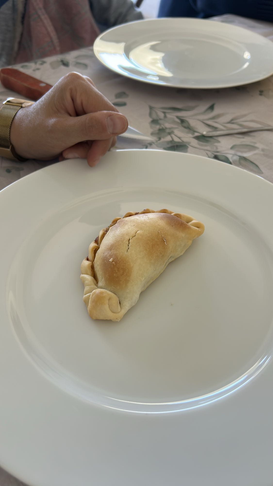 empanada al horno