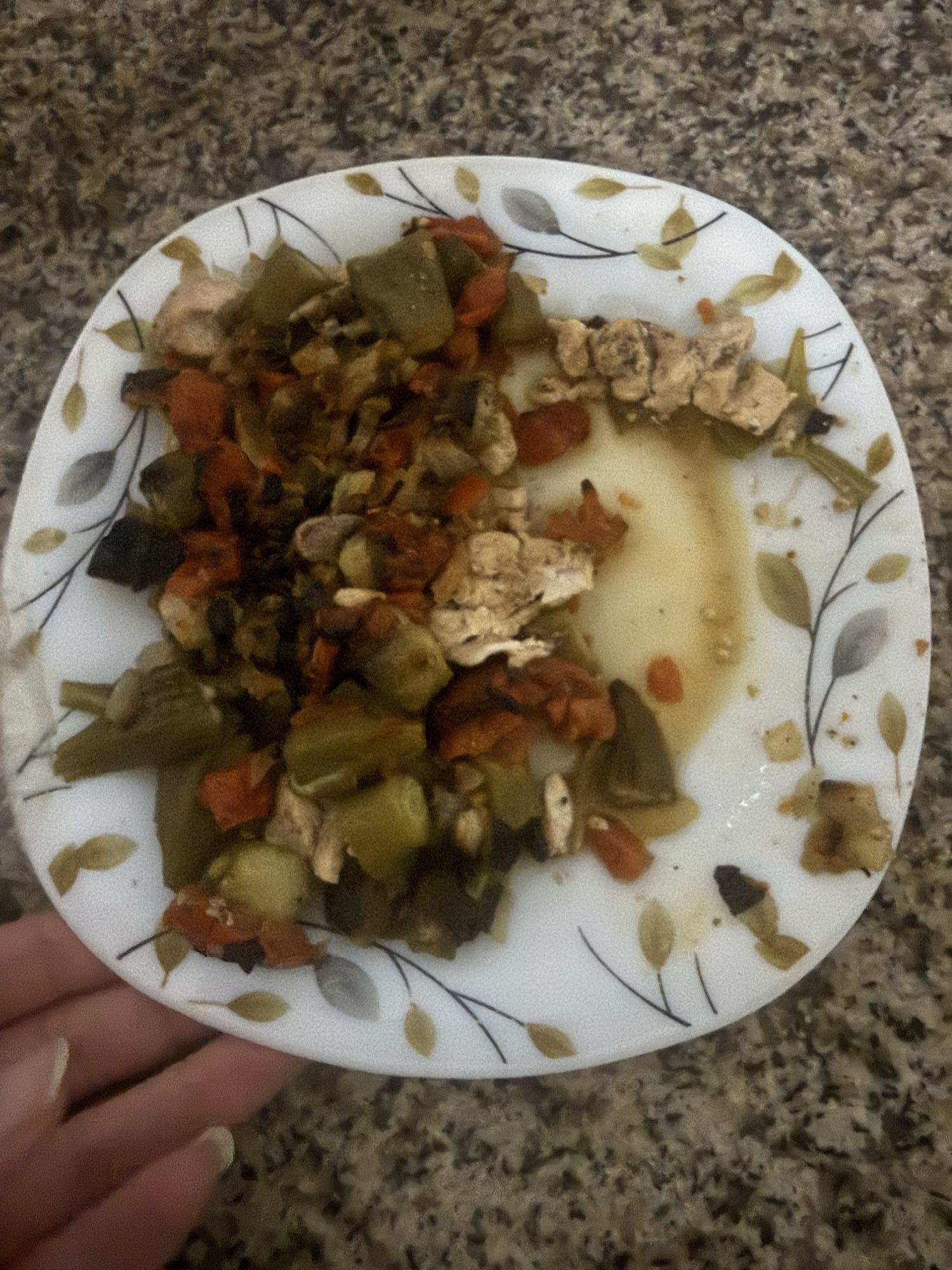 Chicken veggie stew
