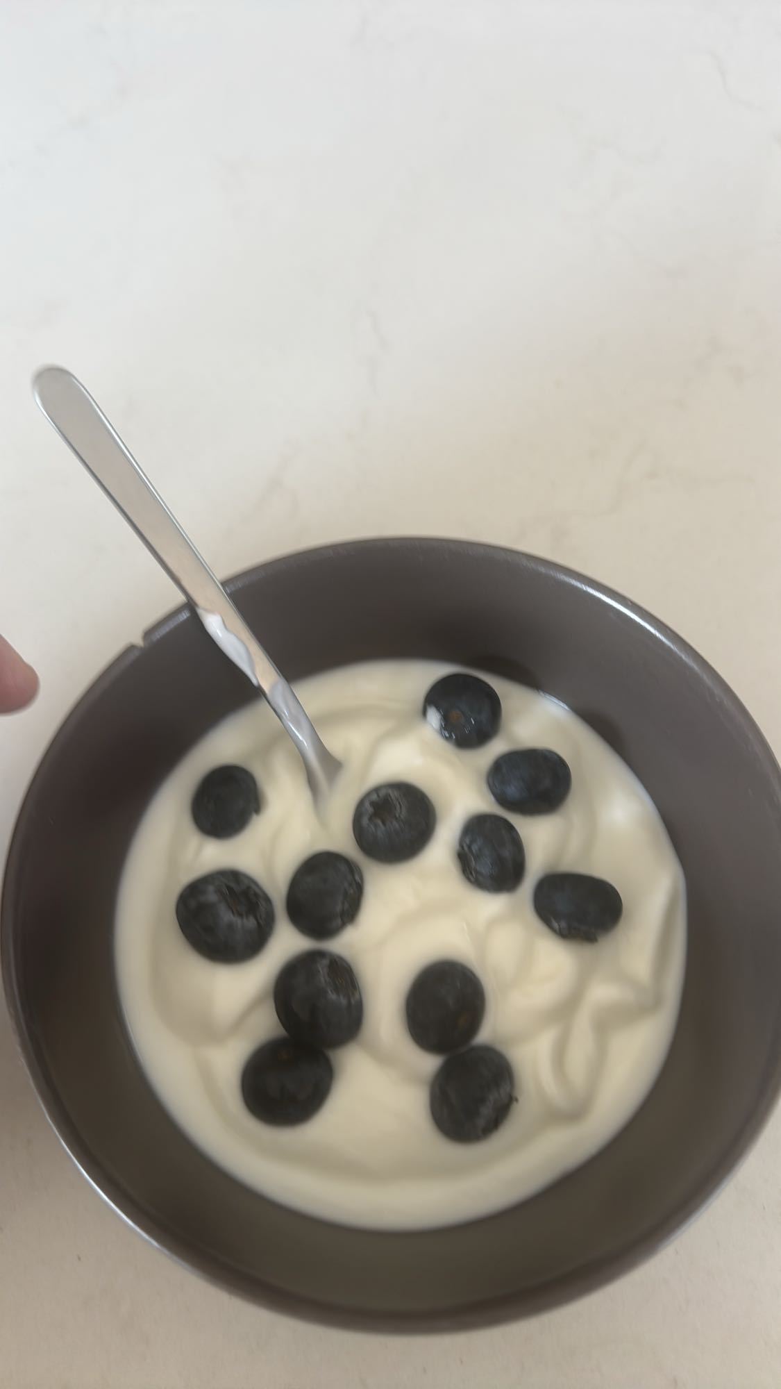 Yogurt with Blueberries