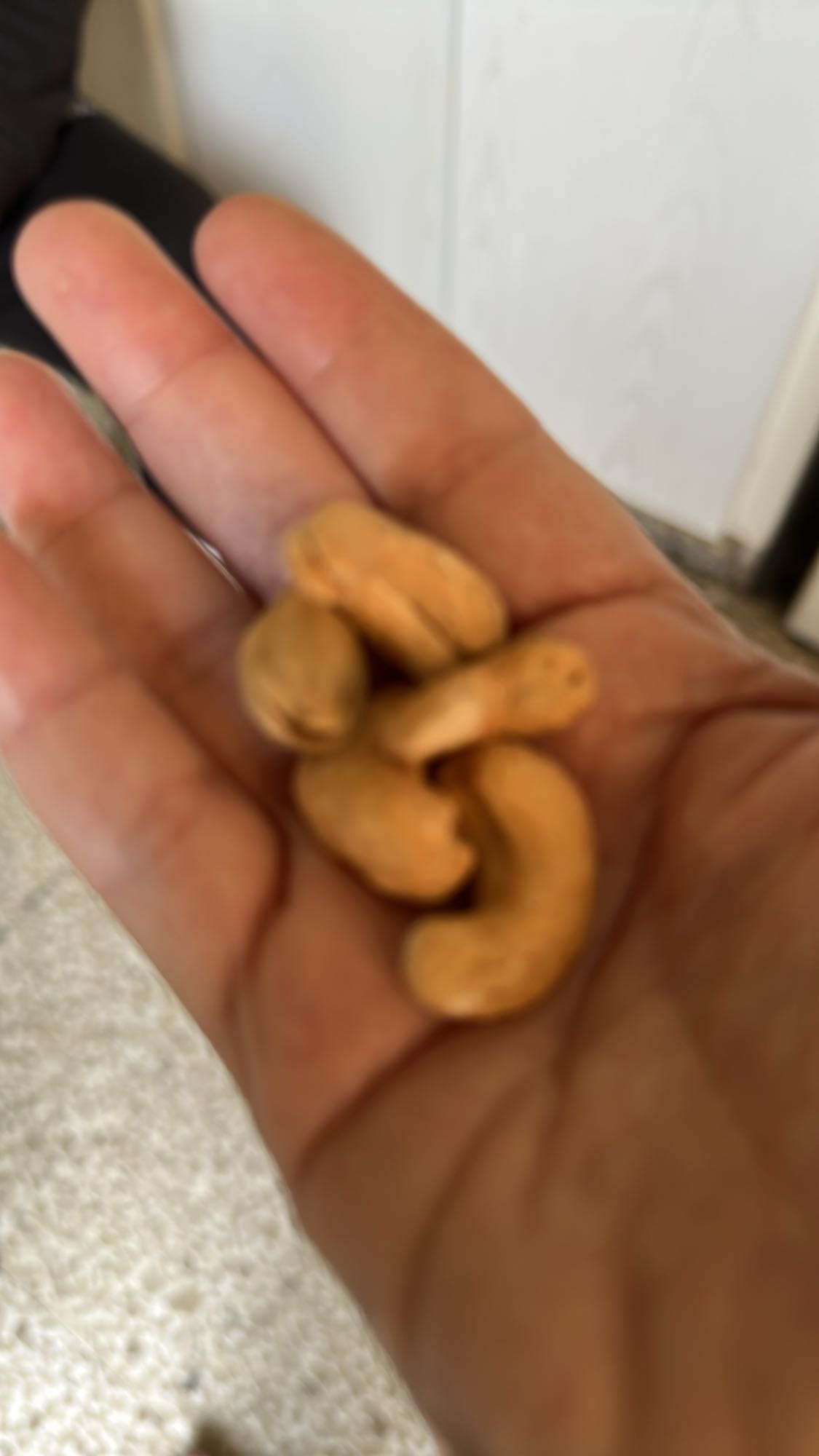 Handful of cashews