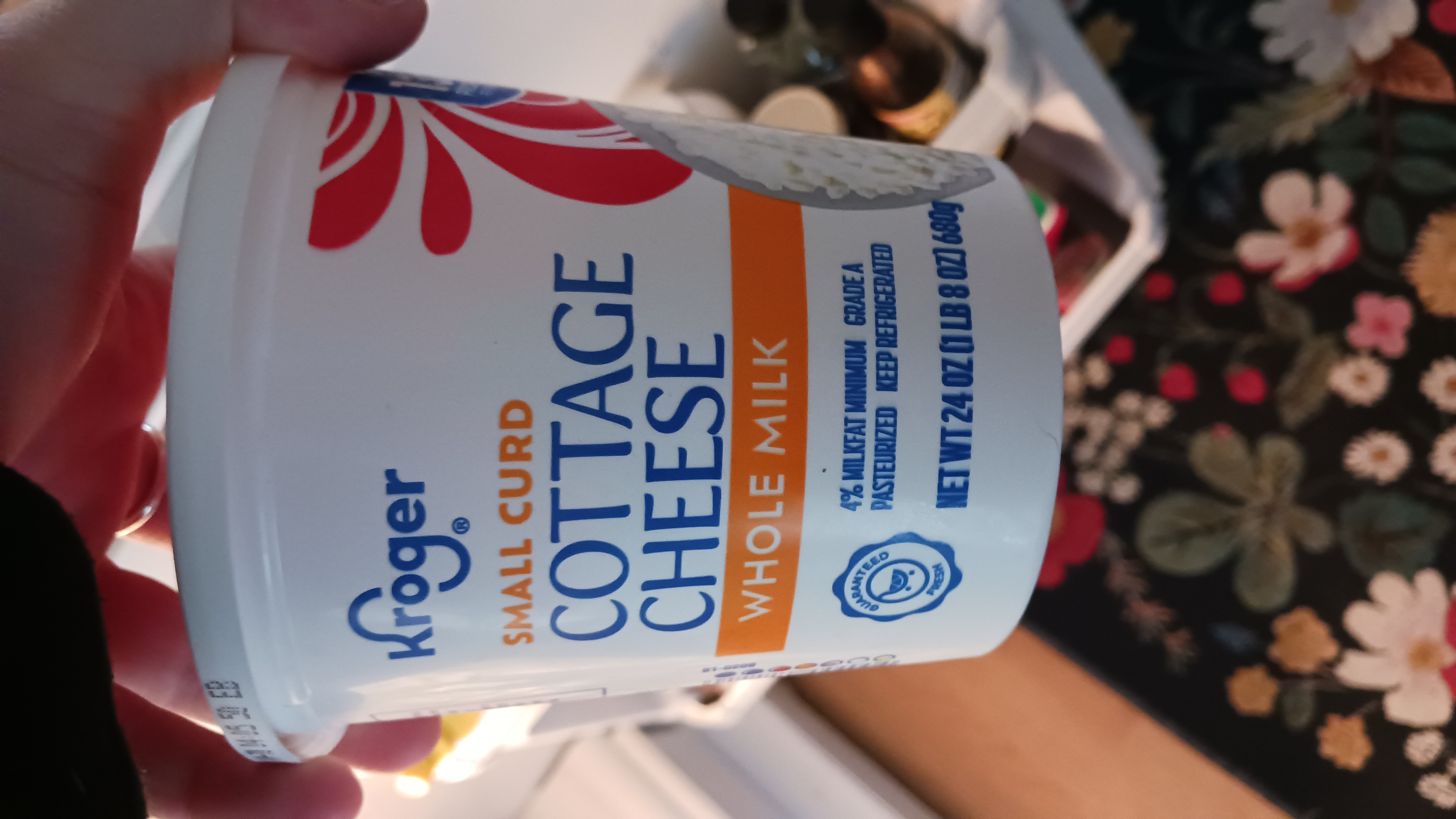 Cottage Cheese Whole Milk