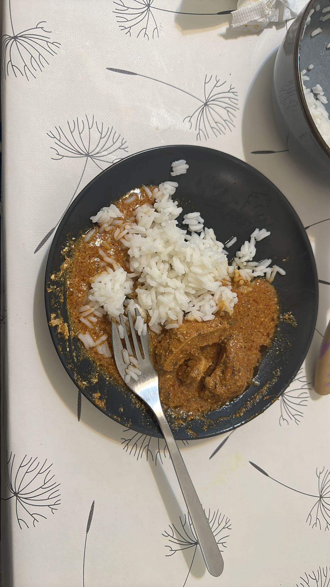 Rice with curry chicken