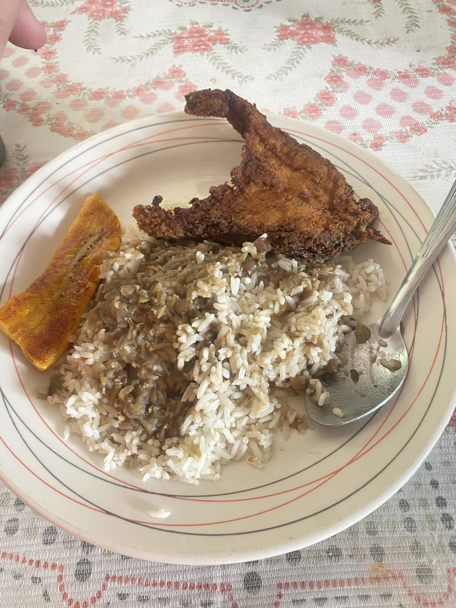 Arroz con lentejas y pollo frito