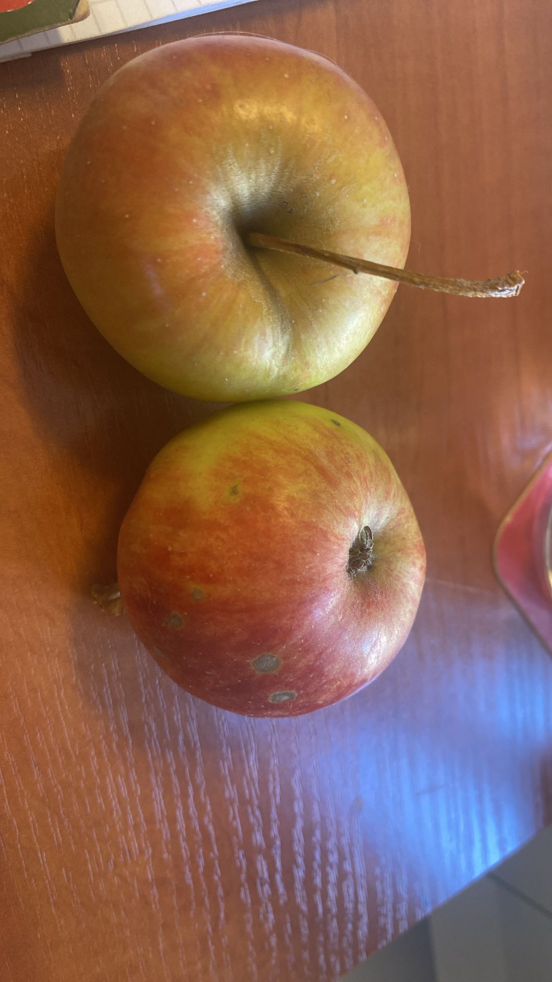 Dwa jabłka