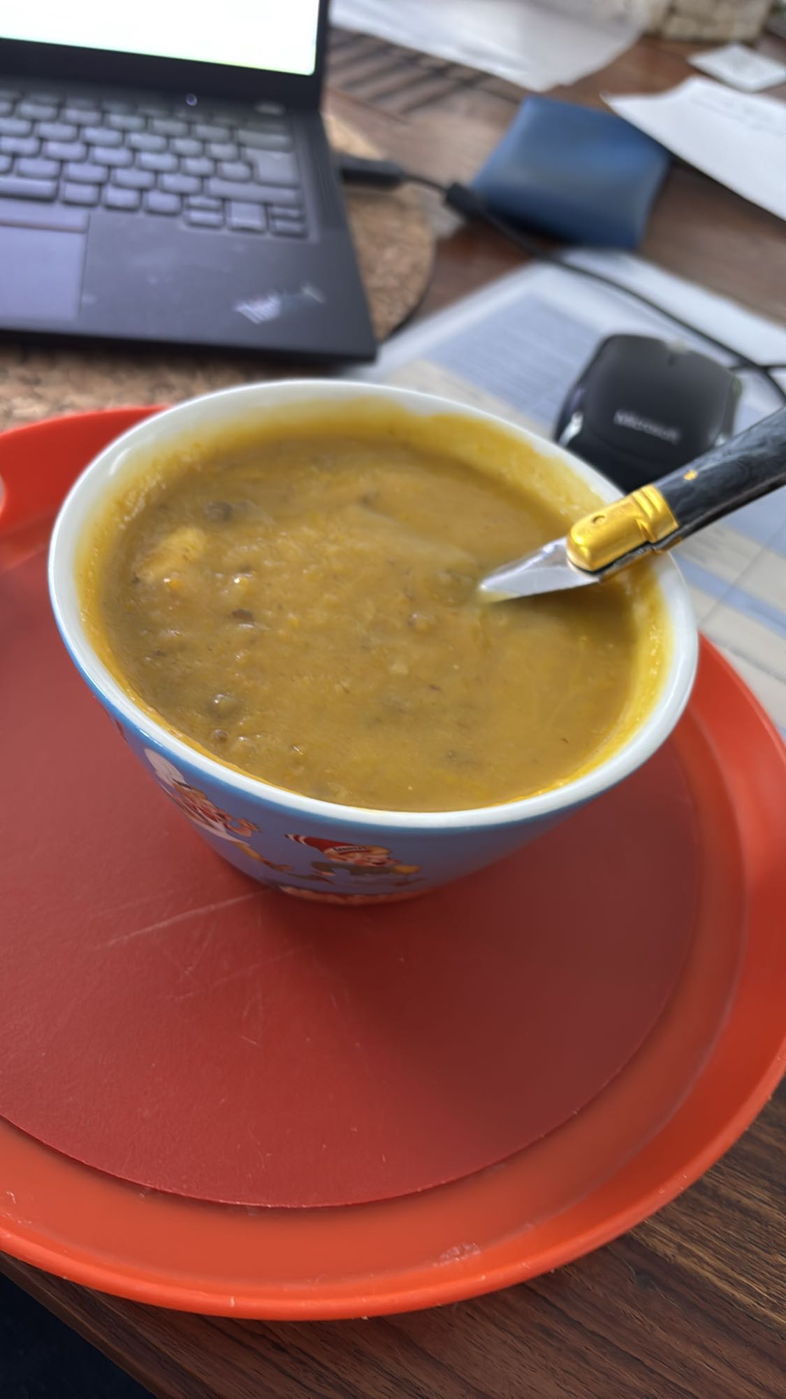Soupe de lentilles