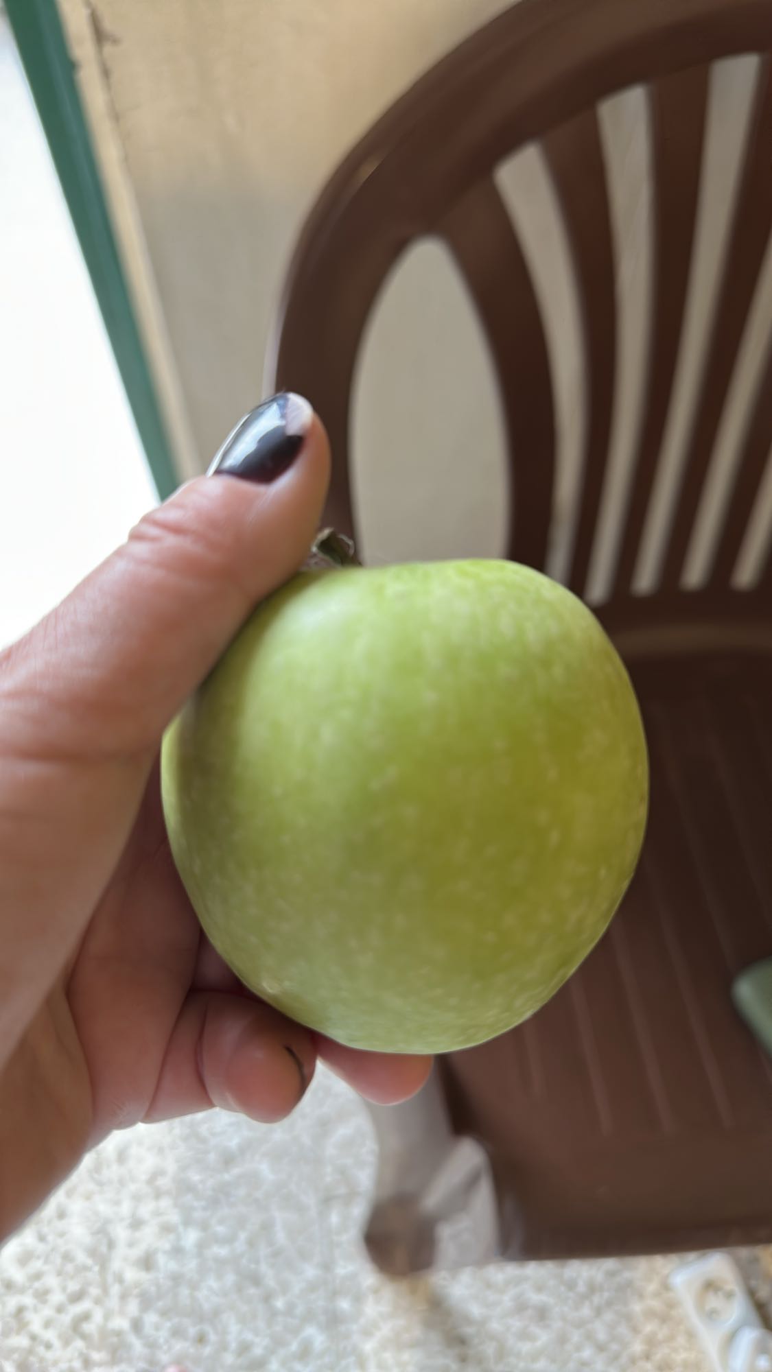 Green Apple Snack