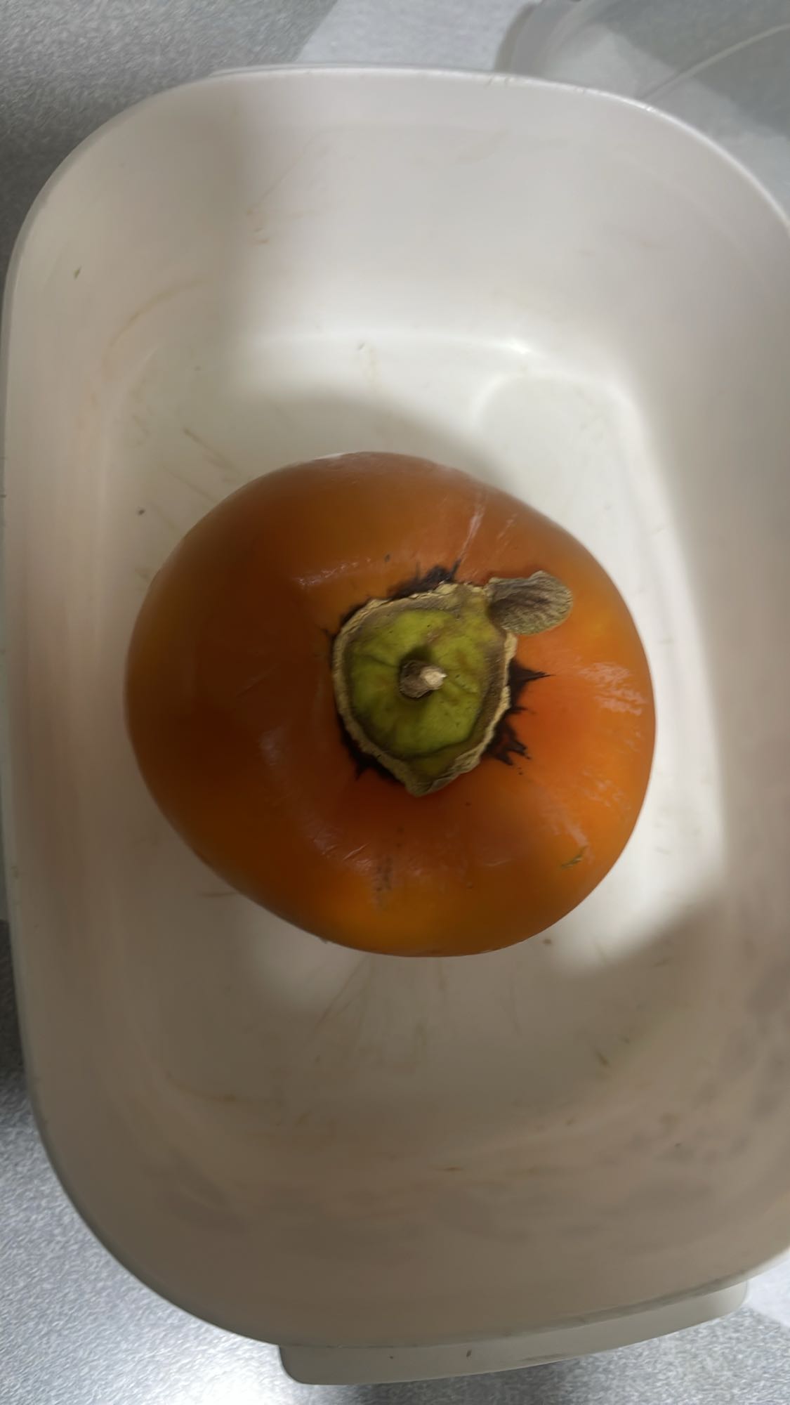 Whole Persimmon Fruit