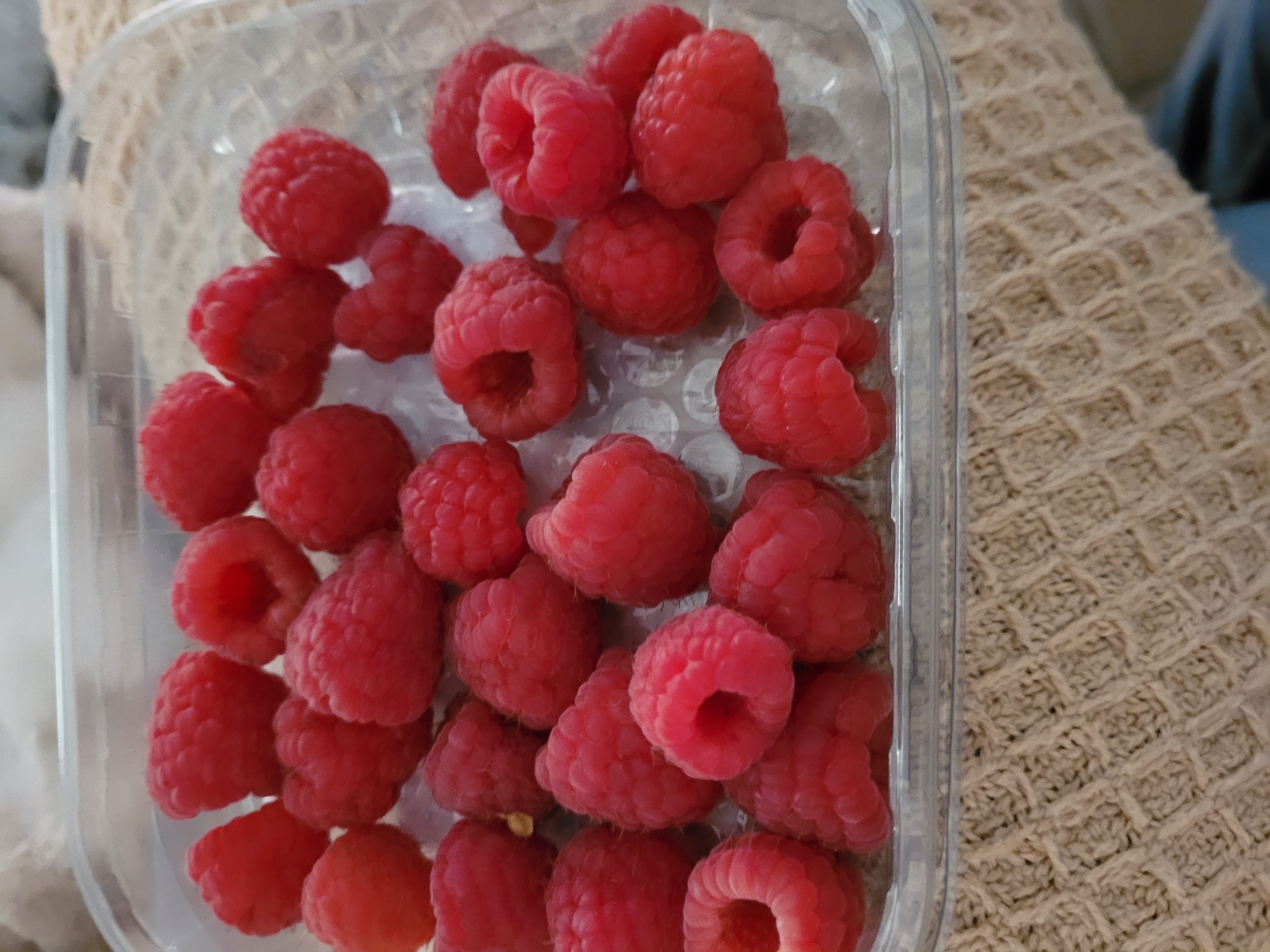 Framboises fraîches