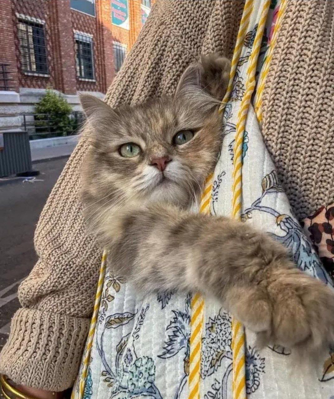 غير صالح للأكل