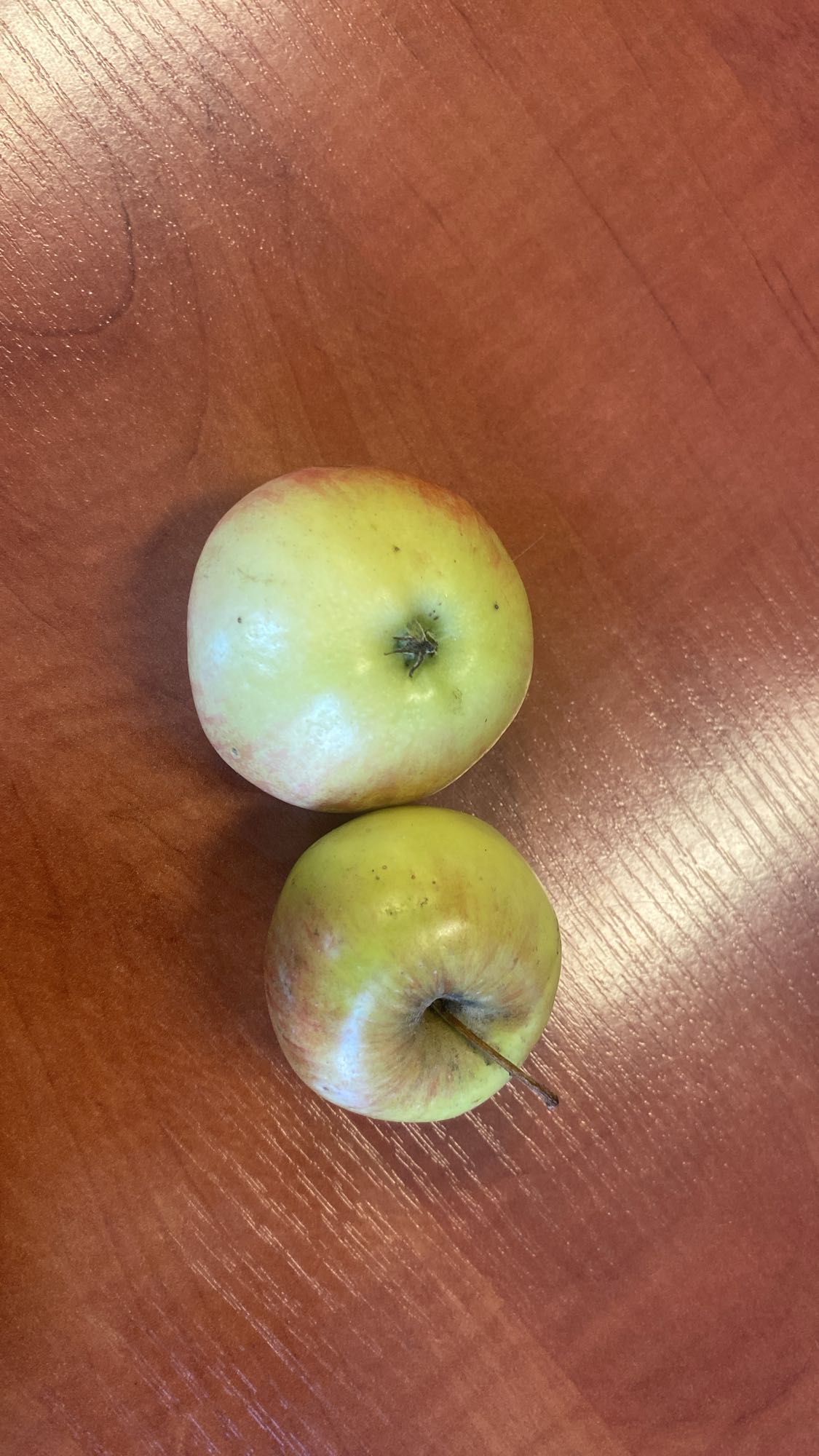 Dwa jabłka
