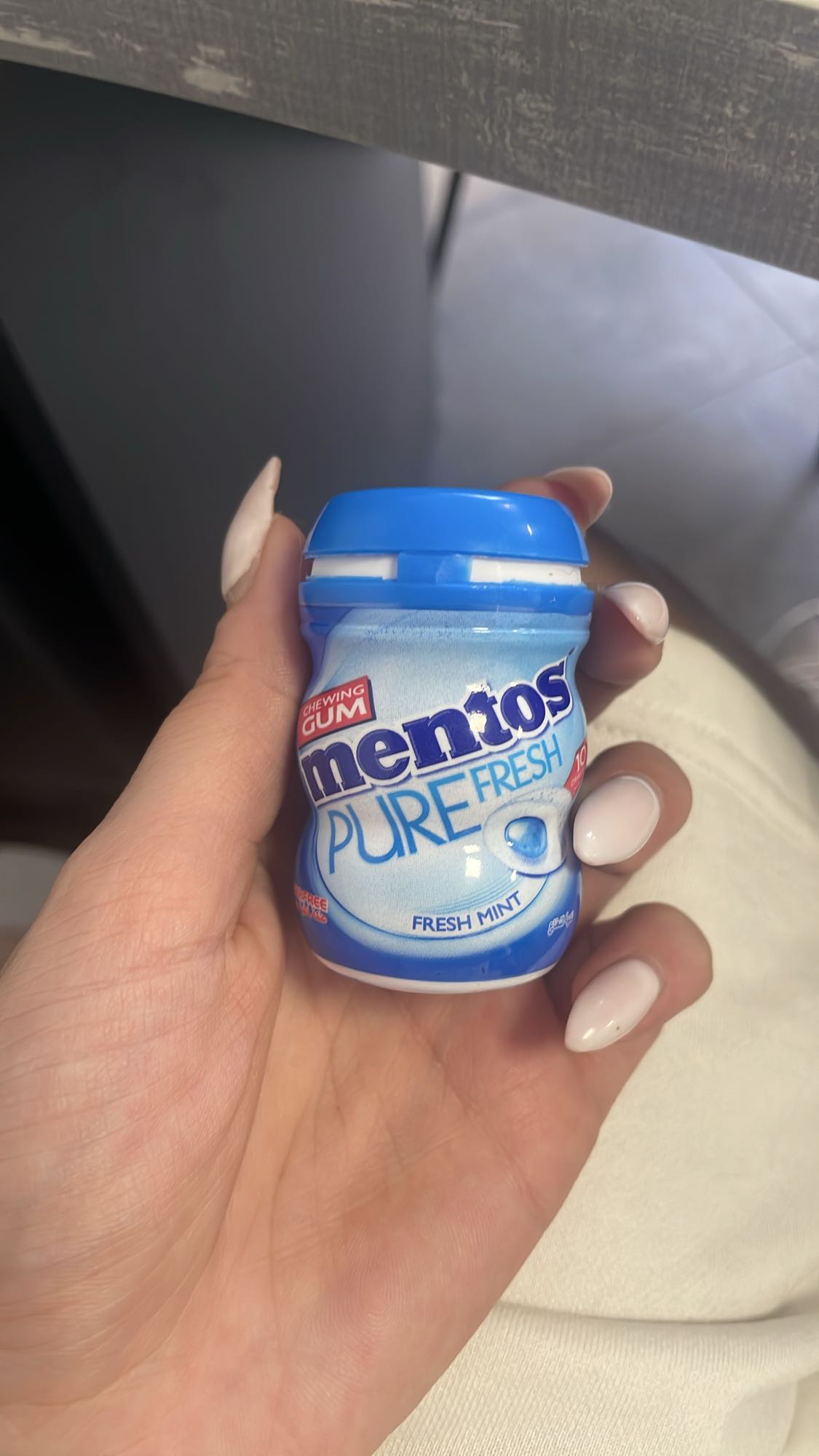 Mentos Fresh Mint Gum