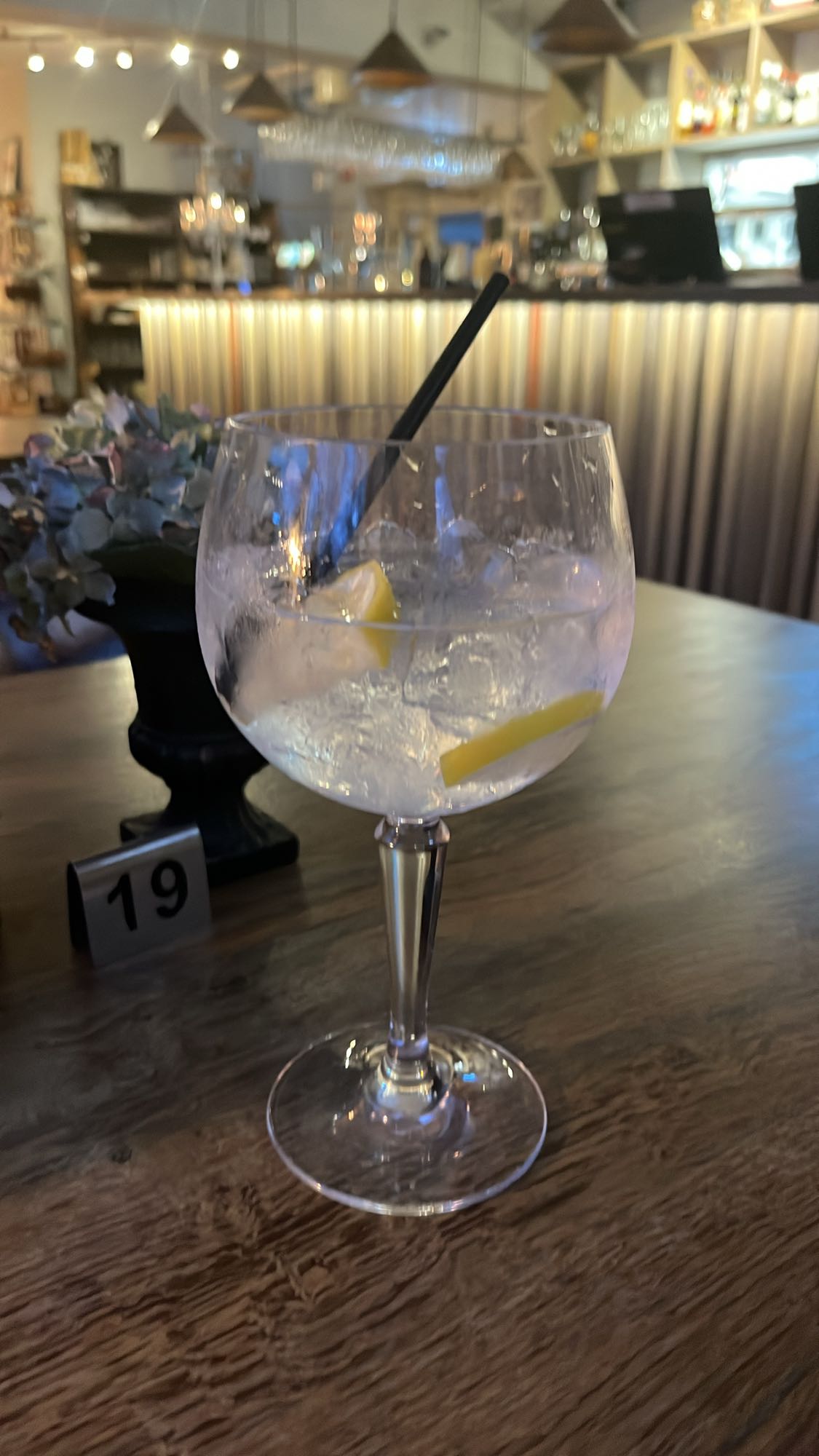 Gin och tonic med citron