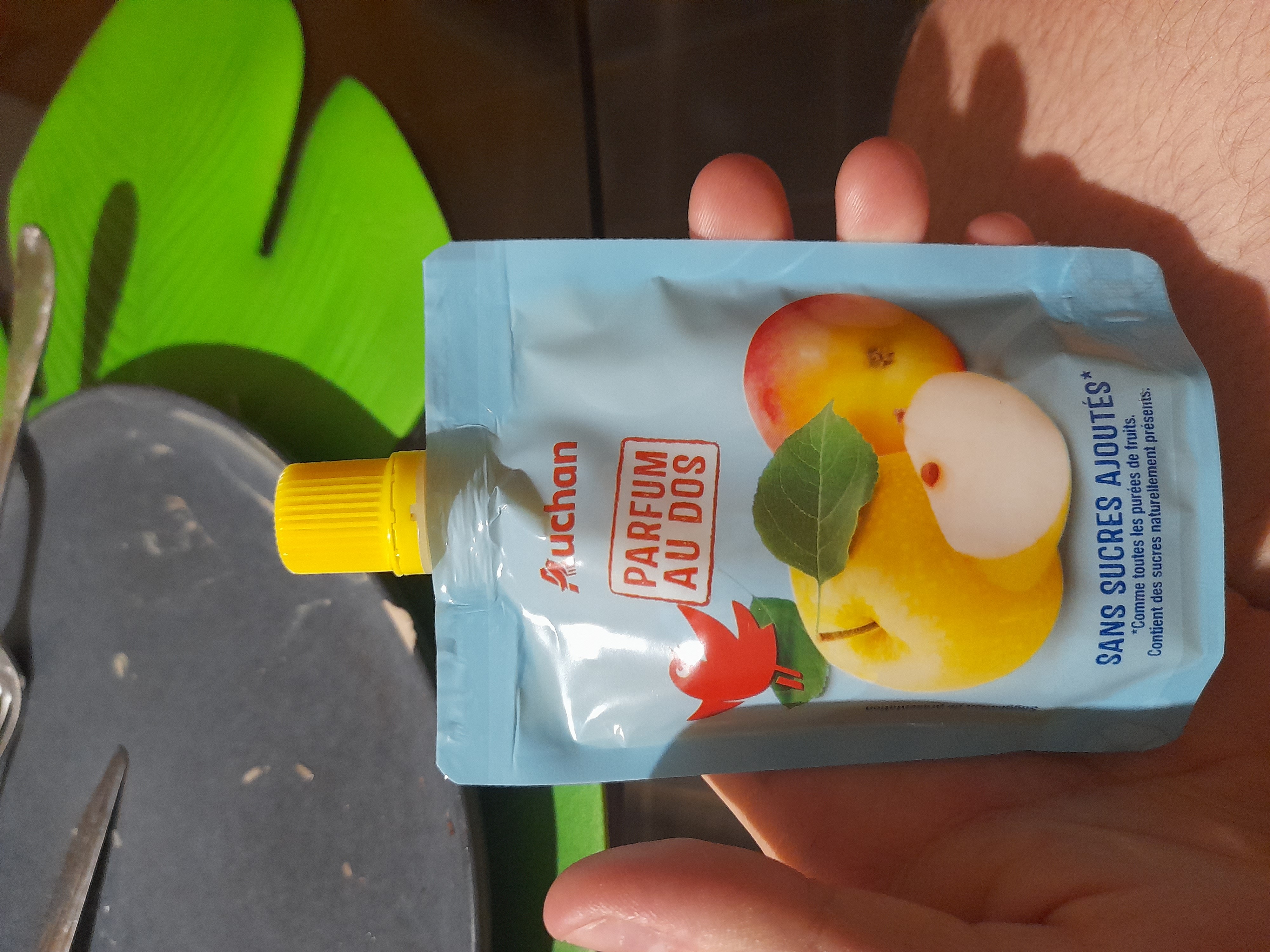 Compote pomme sans sucre