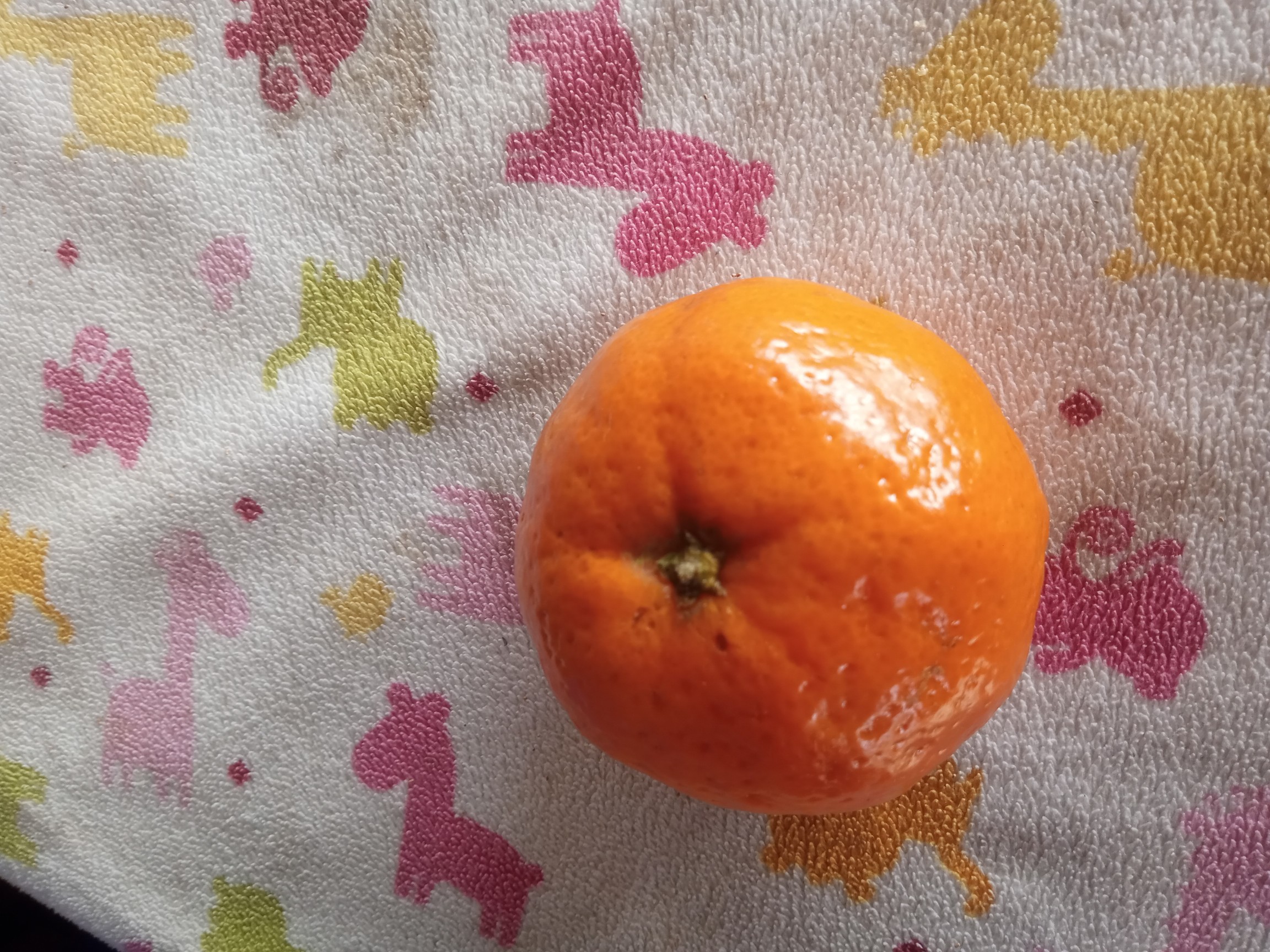 mandarina fresca