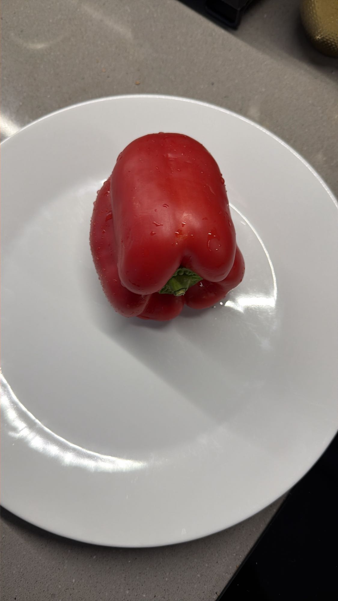 Papryka czerwona solo