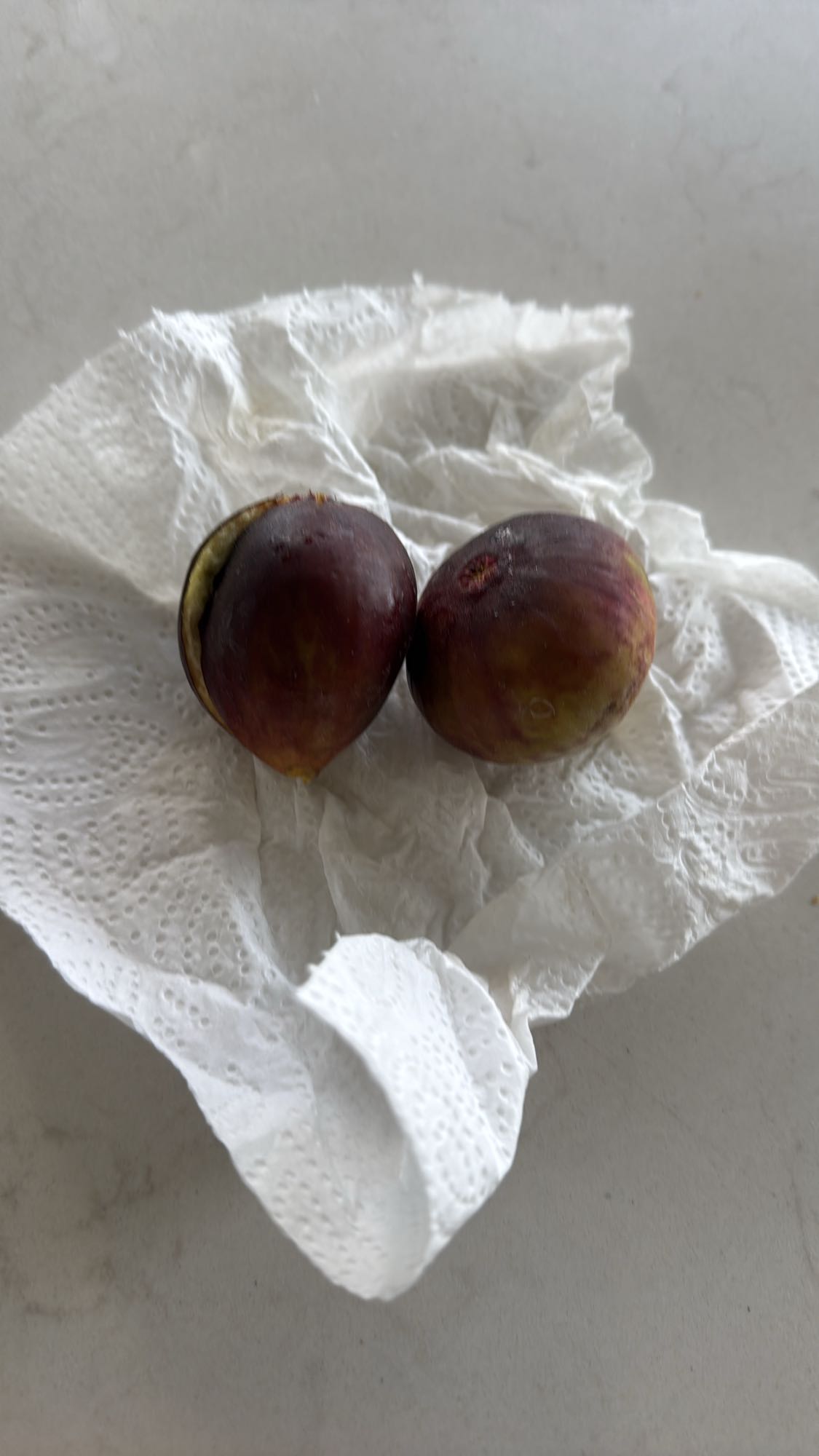 Fresh Figs Snack