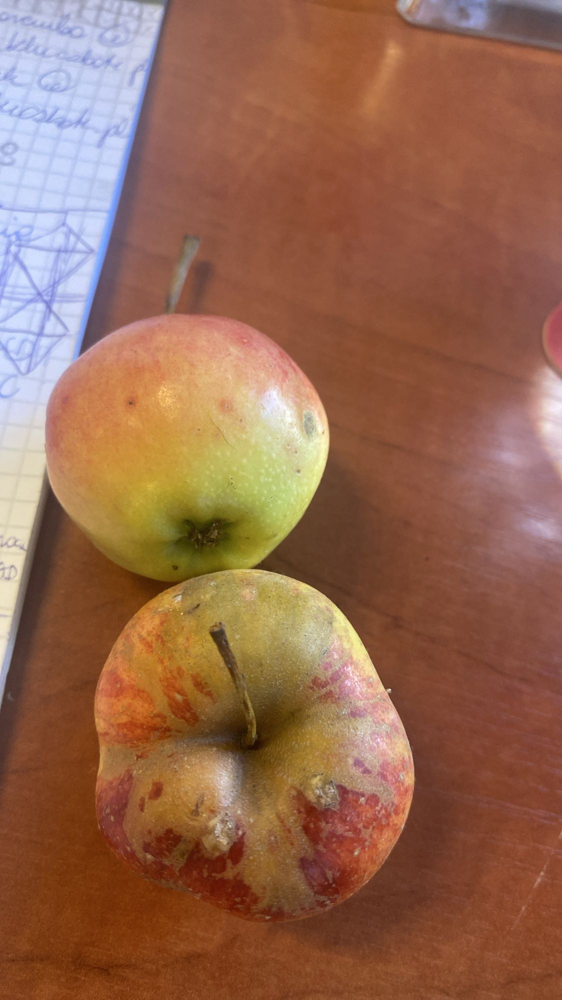 Dwa jabłka