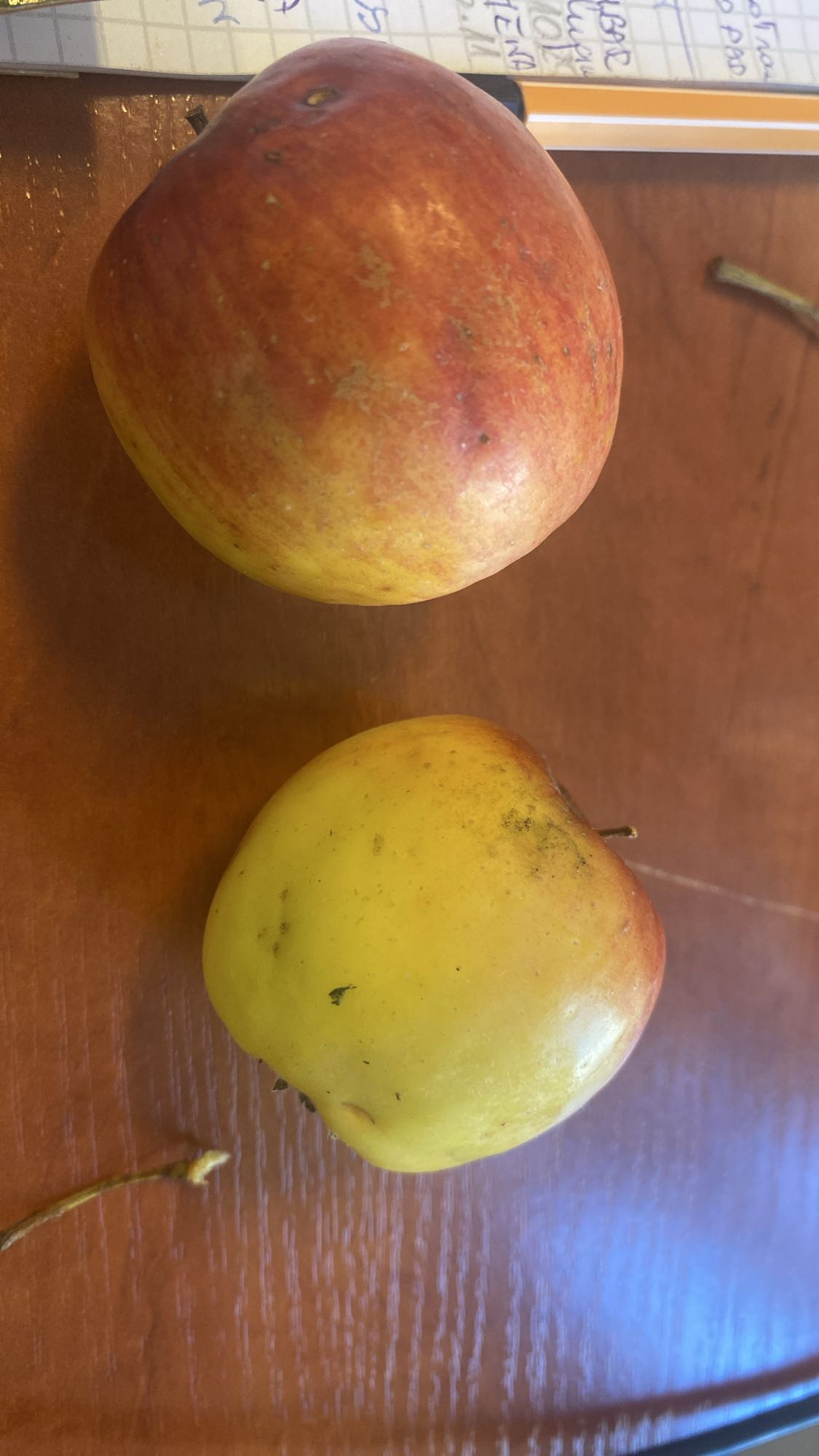 Dwa jabłka