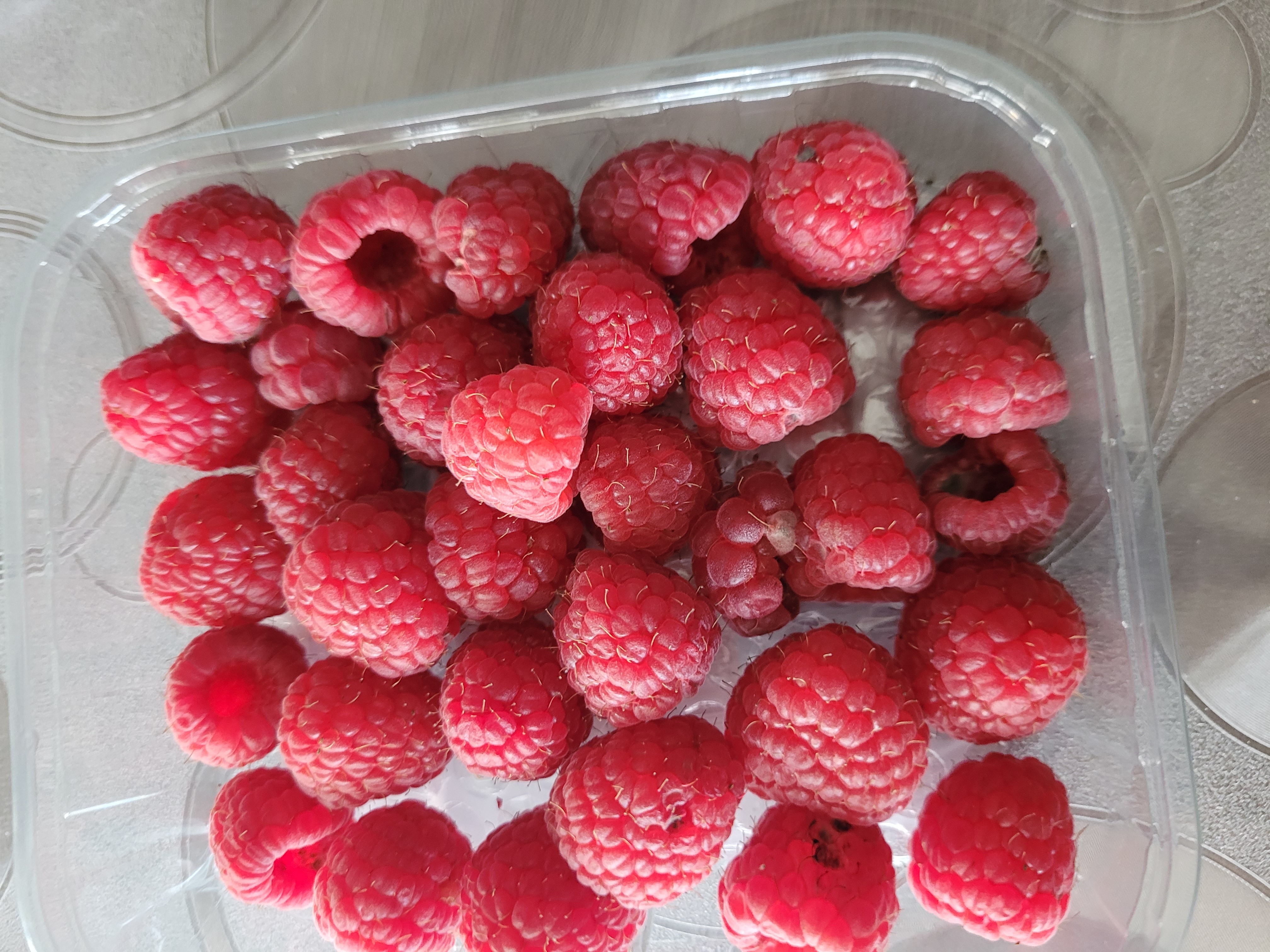 Framboises fraîches