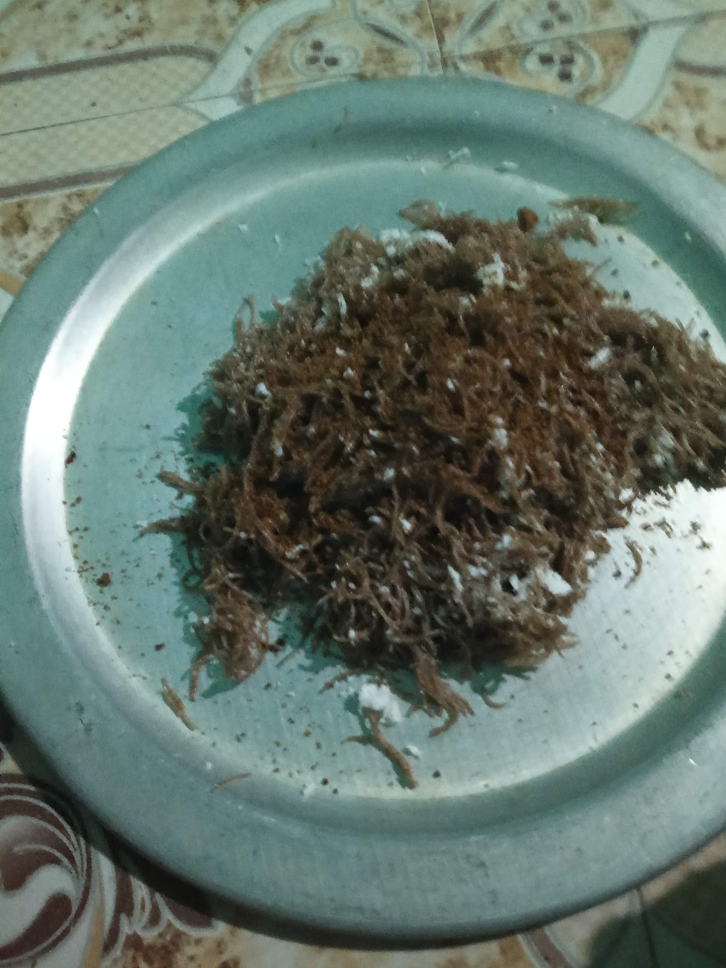 Shredded coconut snack