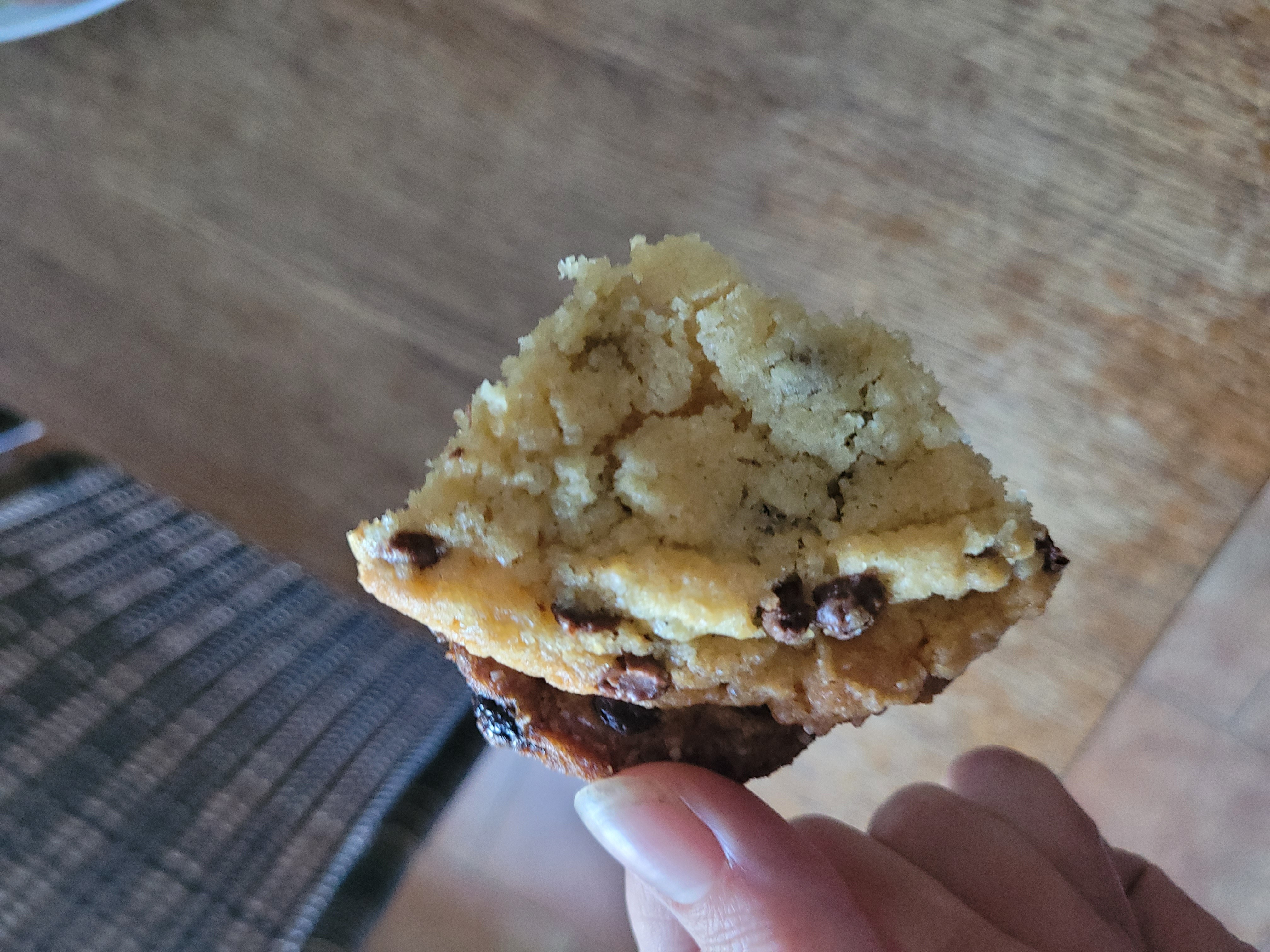 Chocolate Chip Muffin