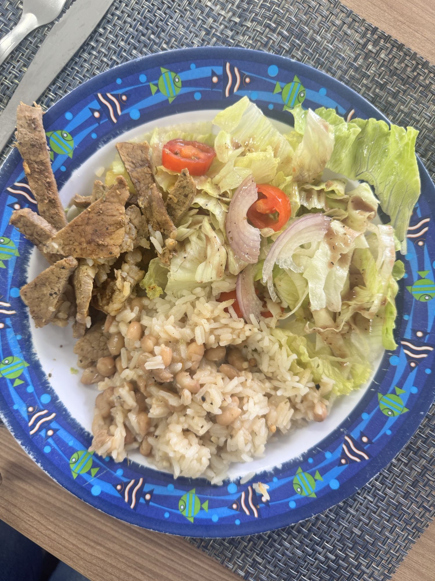 Arroz, carne e salada
