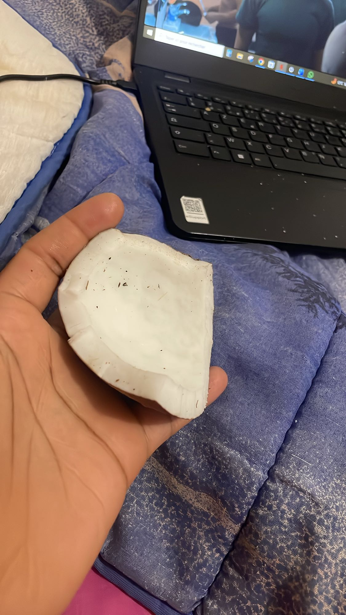 Noix de coco fraîche