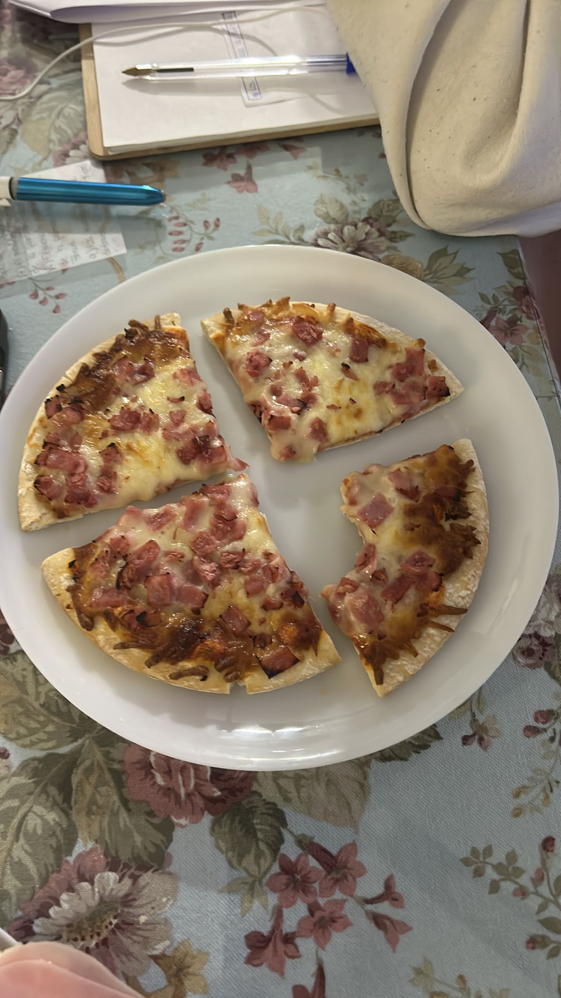 Pizza de jamón y queso