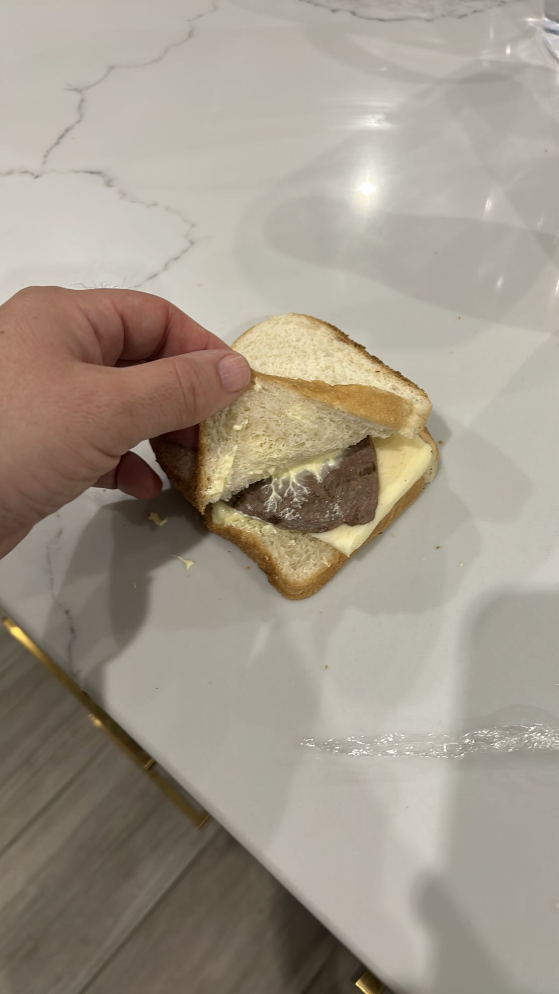 sándwich de carne y queso