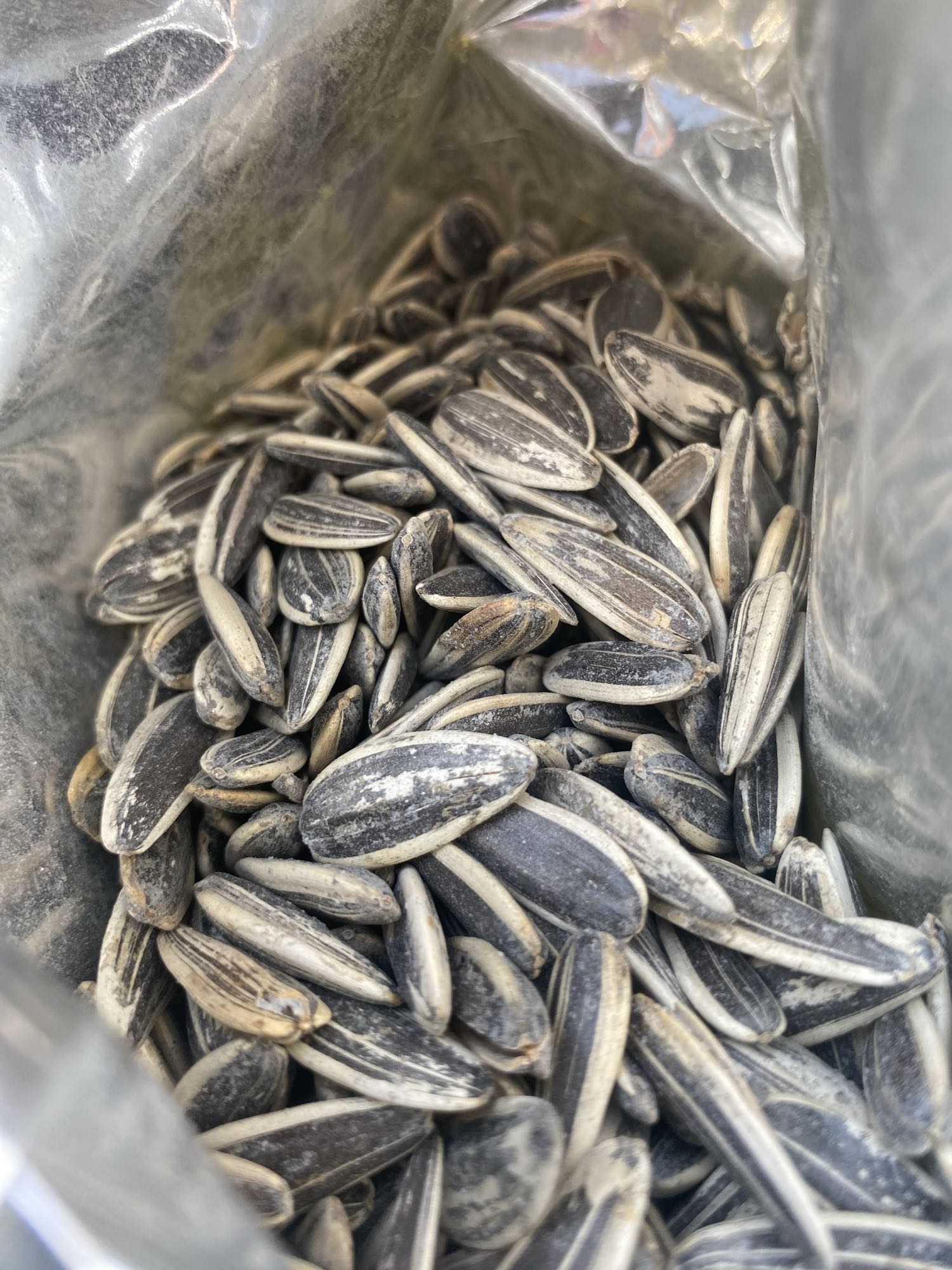 Sunflower Seeds Snack