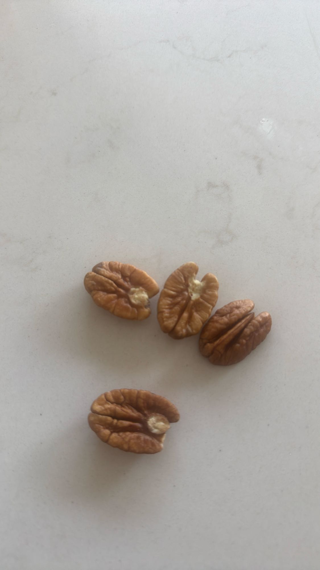 Pecan Halves Snack